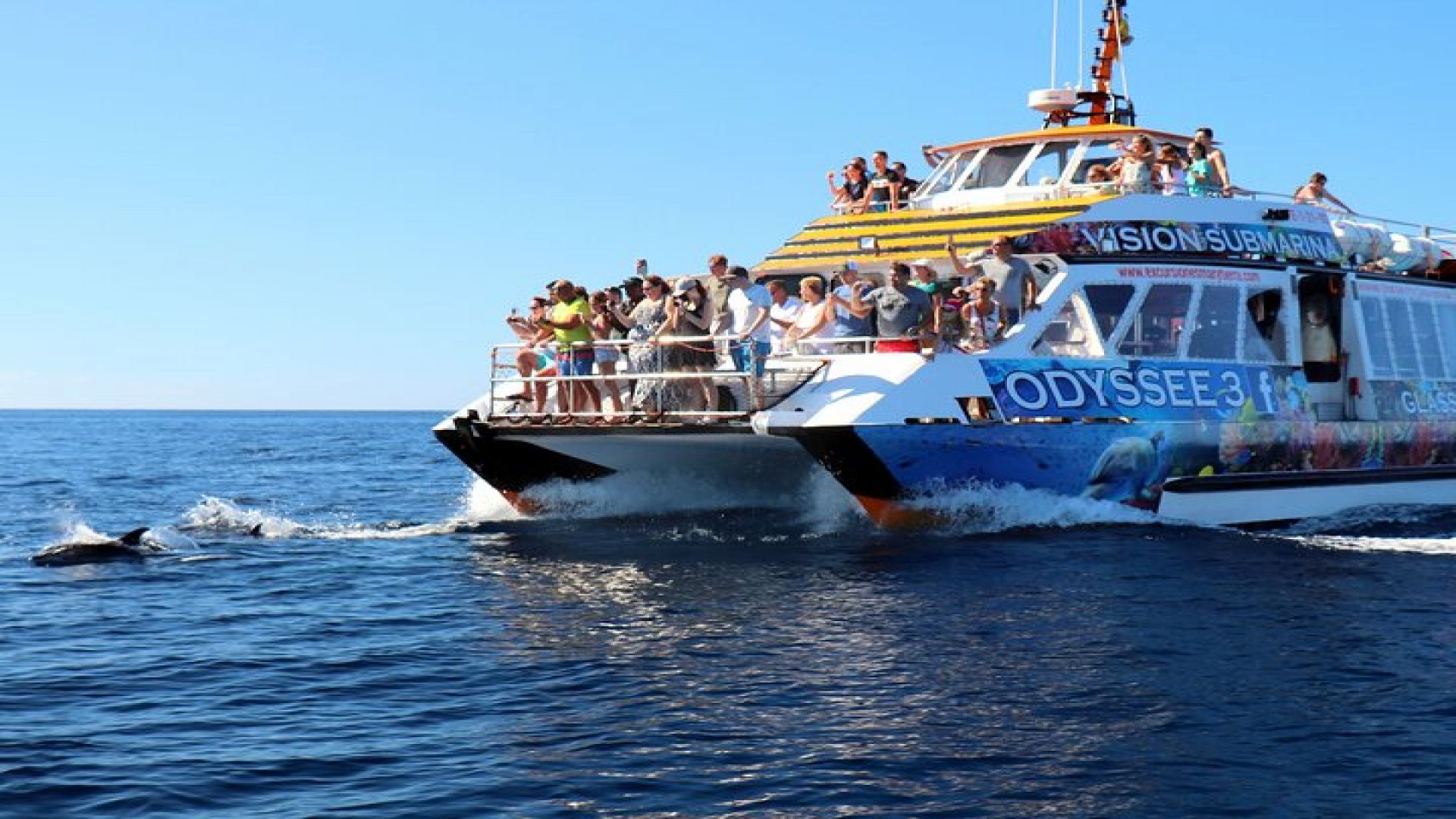 Odyssee 3: The Glass Bottom Boat Tour in Fuerteventura