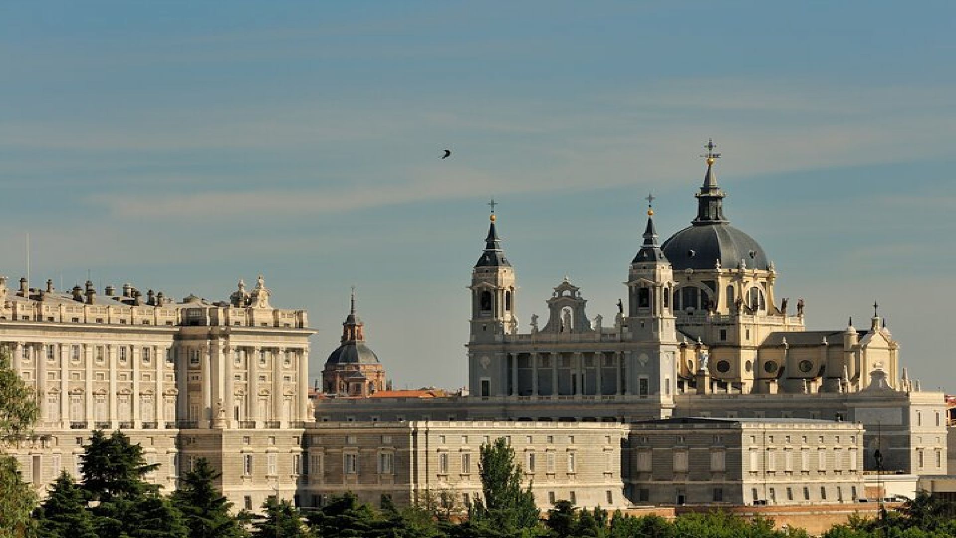 Madrid Big Bus Night Tour