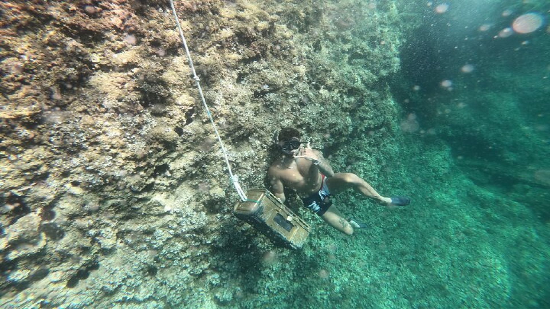 Mallorca: Kayaking, Sea Cave, Cliff Jumping & Snorkel Tour