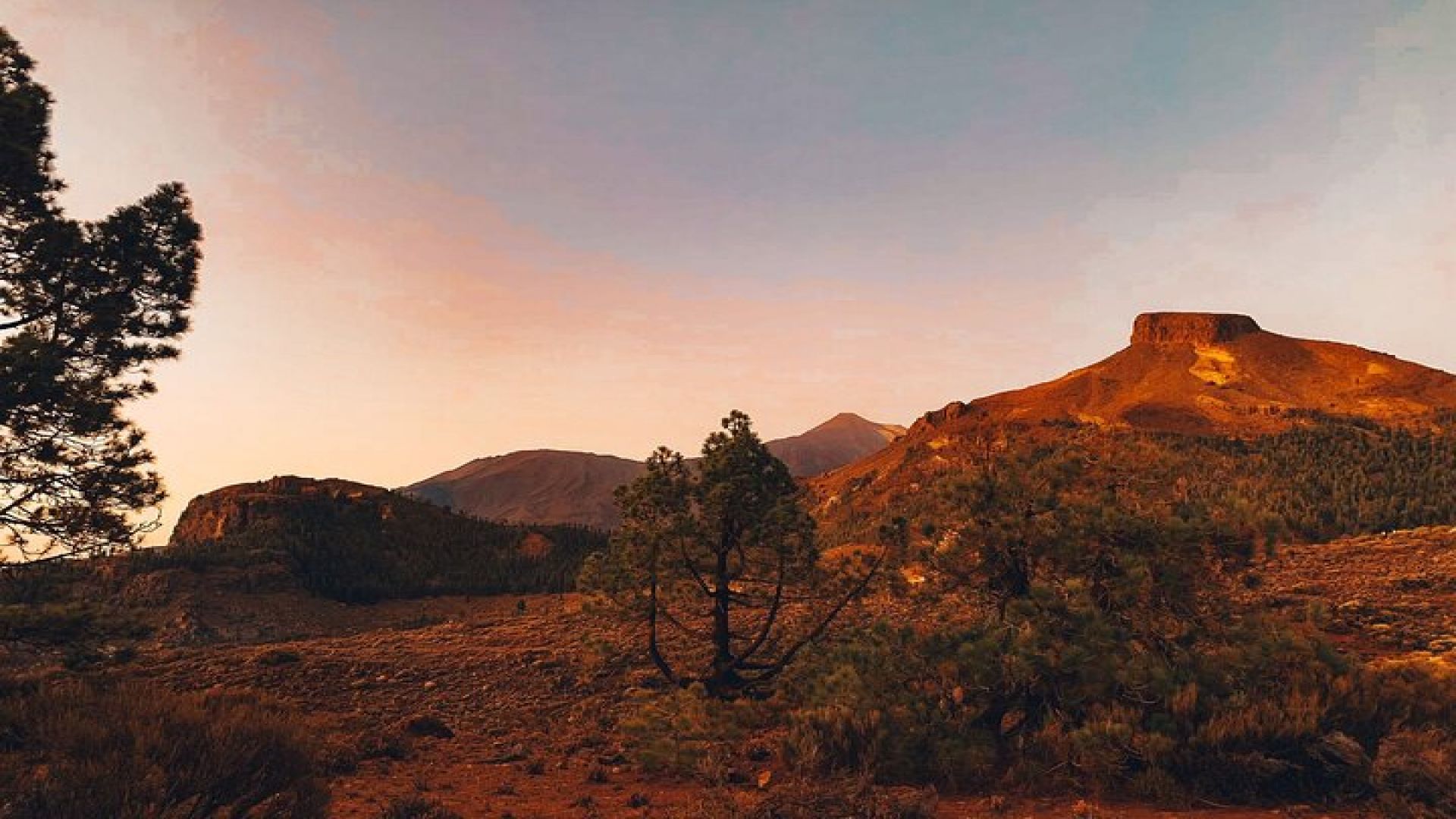 Full Day Tour with Certified Guide in Tenerife 