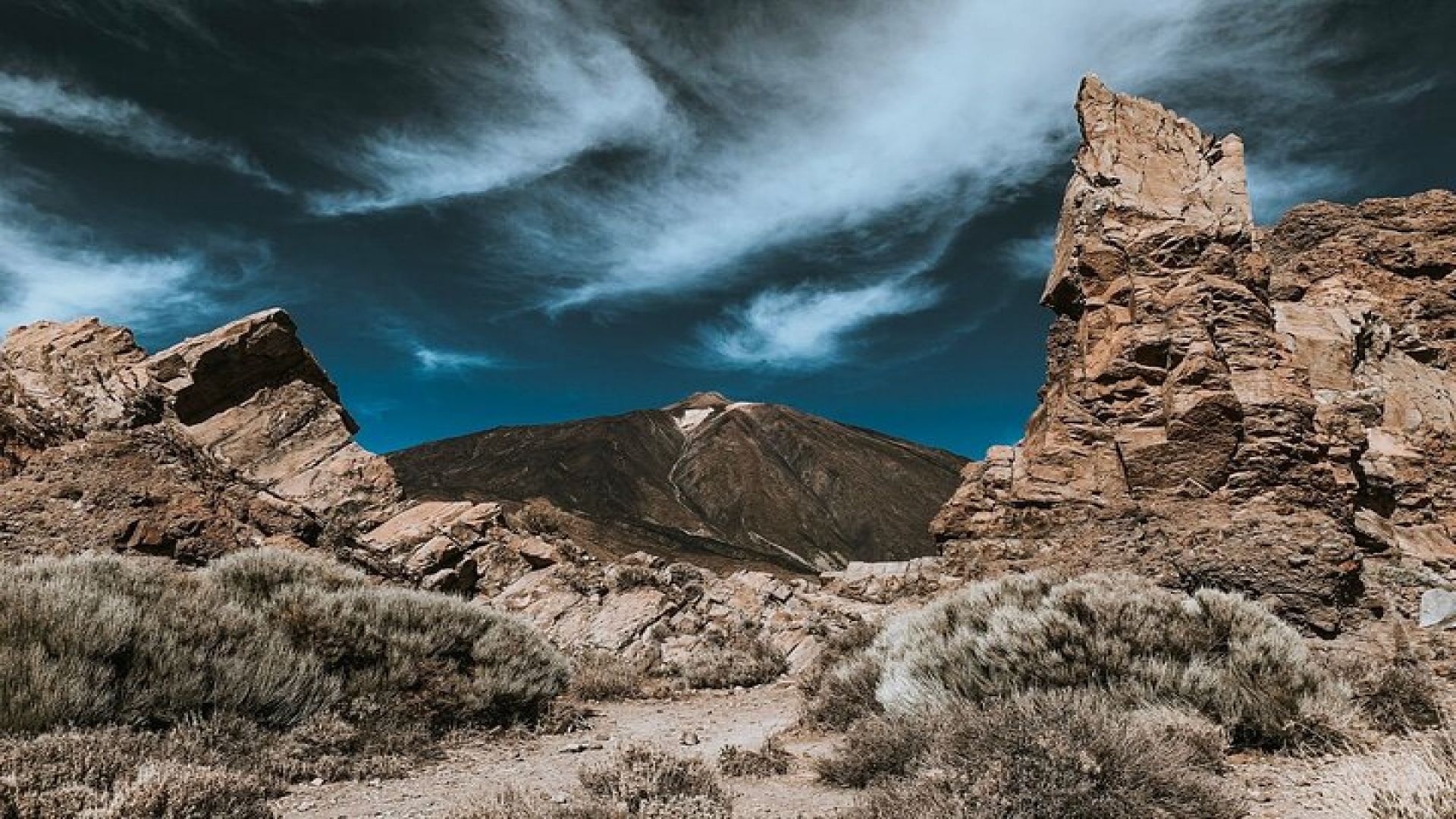 Full Day Tour with Certified Guide in Tenerife 