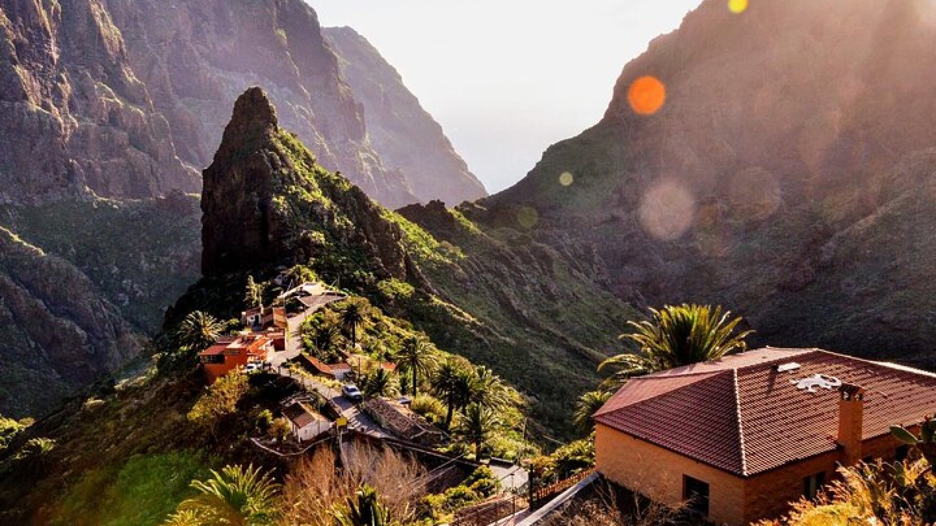 Full Day Tour with Certified Guide in Tenerife