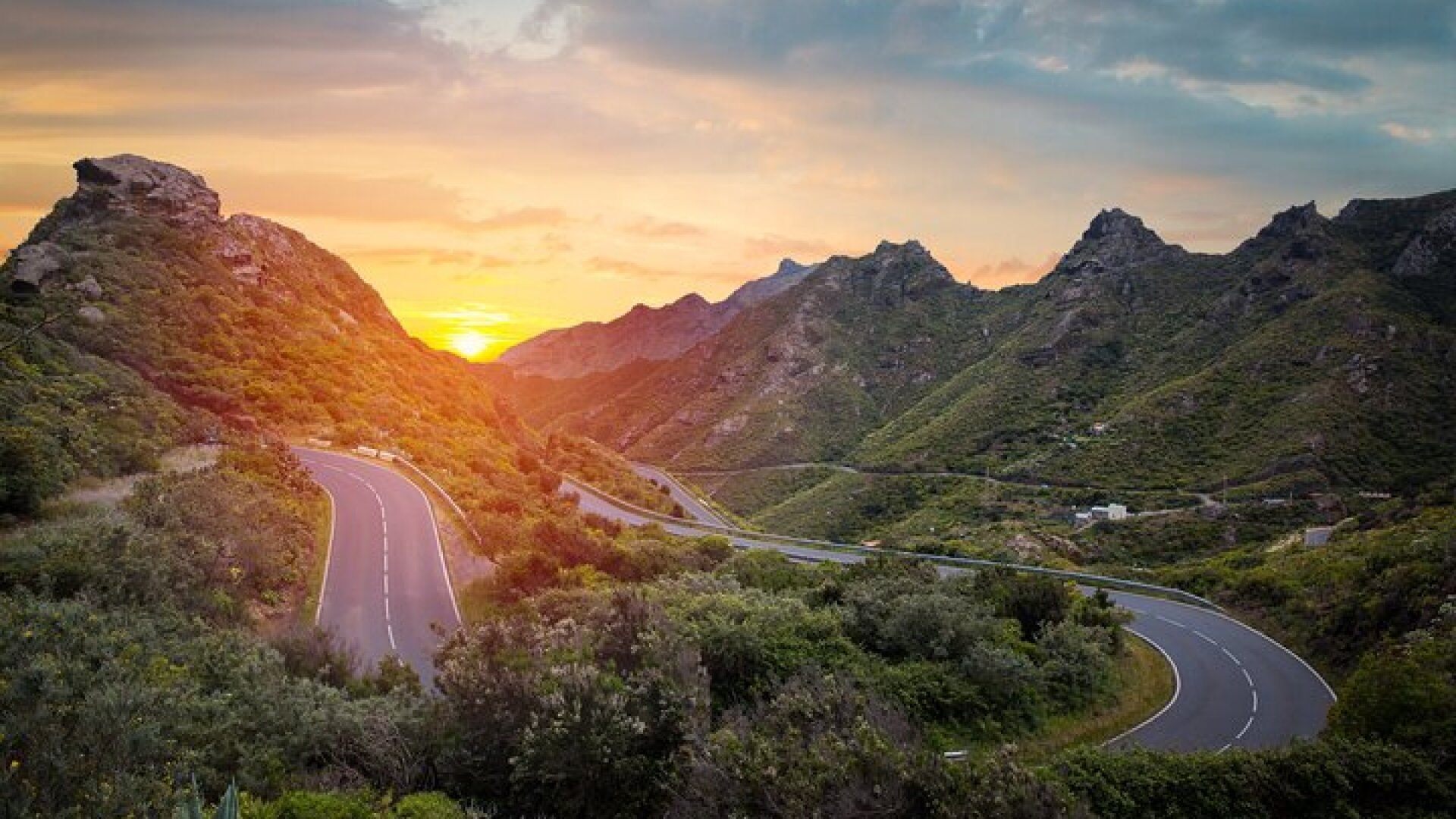Full Day Tour with Certified Guide in Tenerife