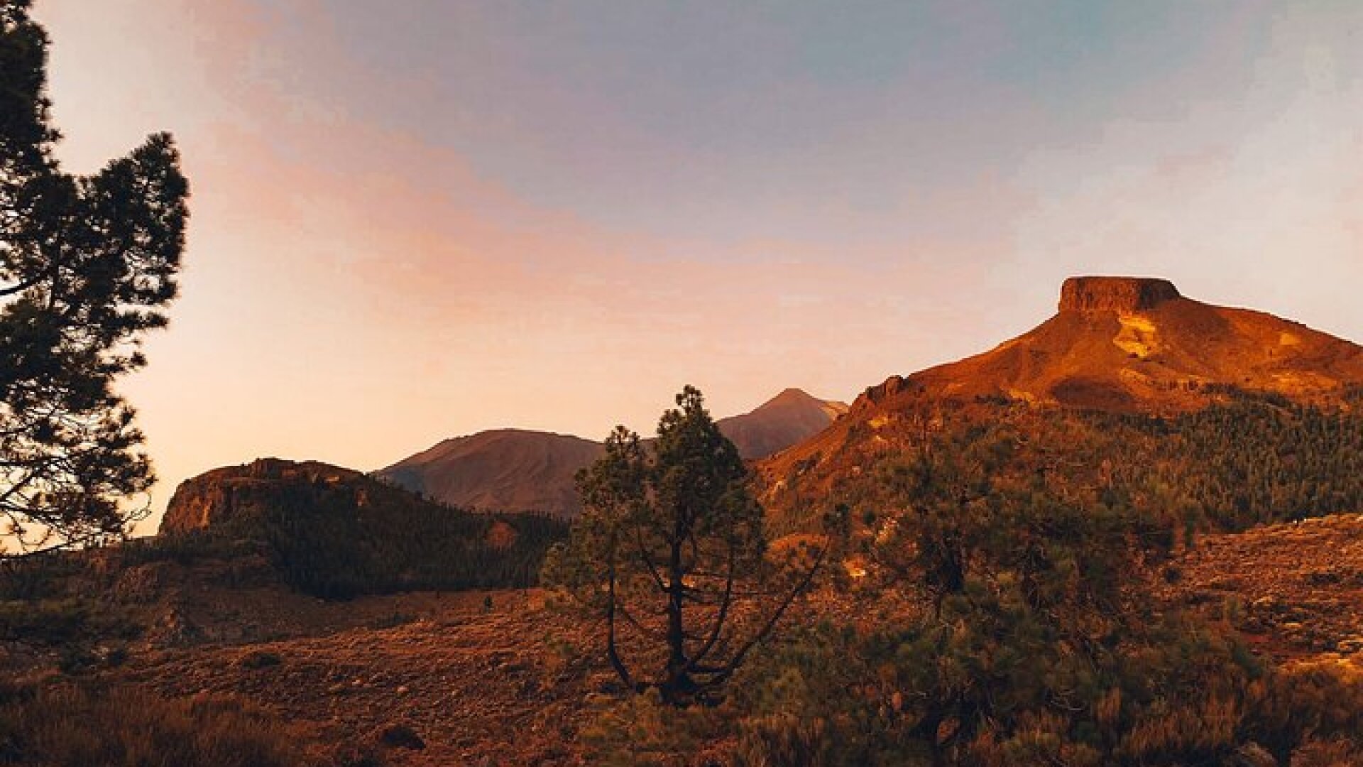 Full Day Tour with Certified Guide in Tenerife