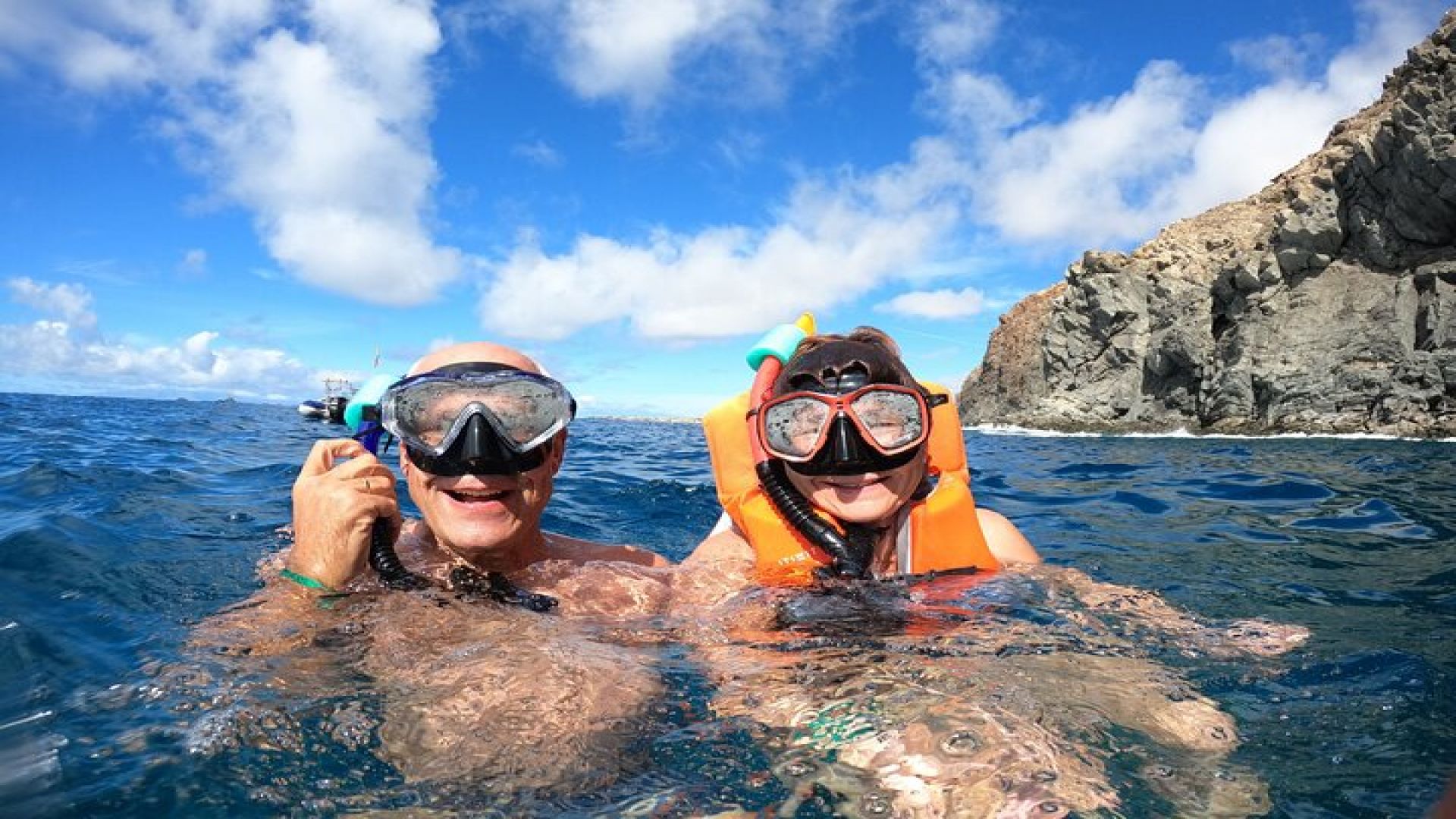 Tenerife: Kayak and snorkel with marine life safari