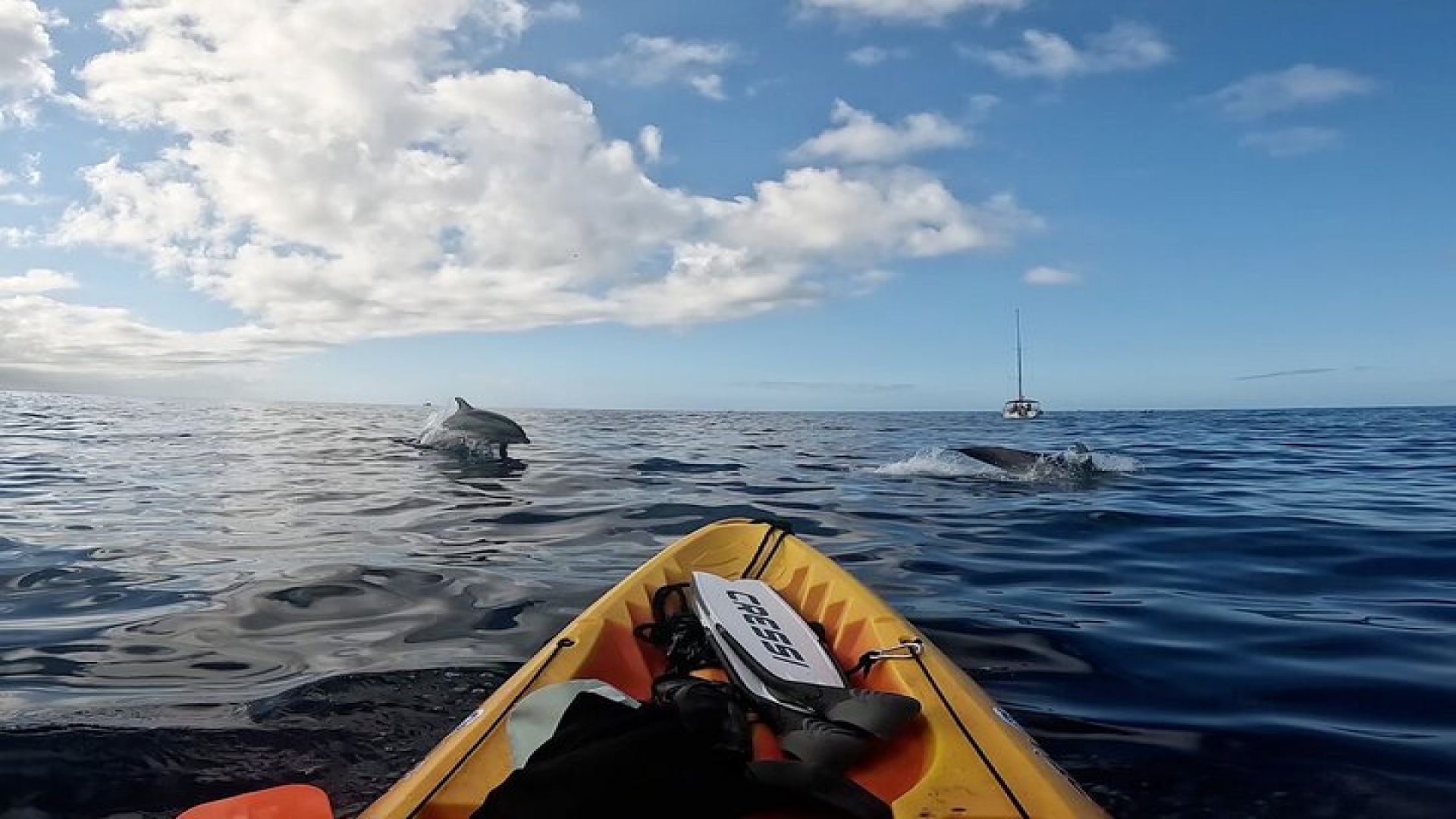 Kayaking and Snorkeling Adventure in Tenerife - Small Groups