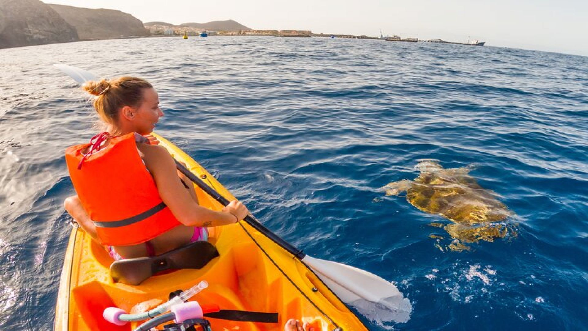 Kayaking and Snorkeling Adventure in Tenerife - Small Groups