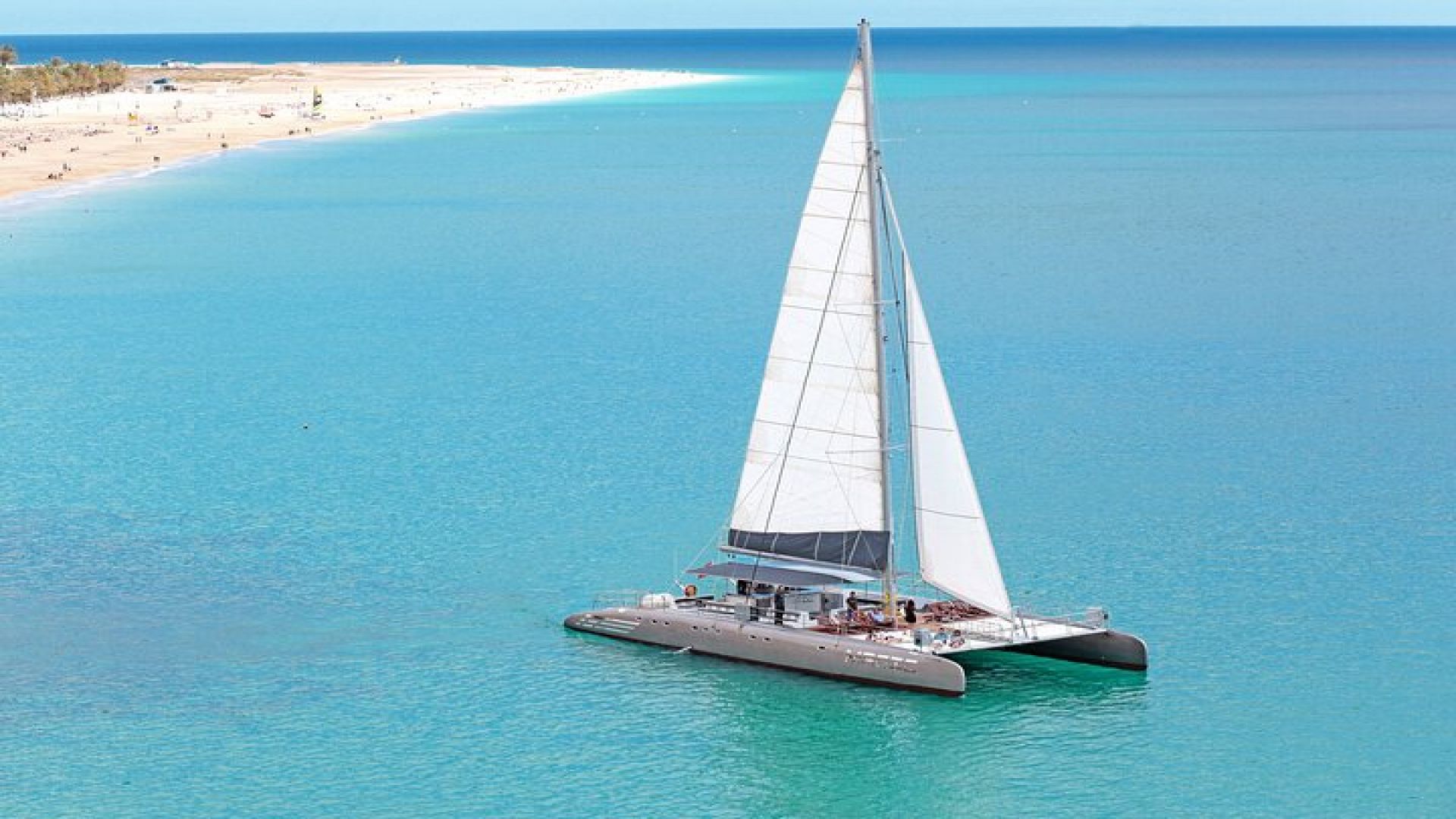 Fuerteventura: Magic Select Catamaran Trip with Food & Drinks