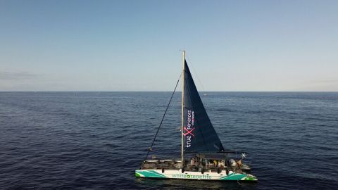 3-hour Whale and Dolphin Watching and Listening Tour 