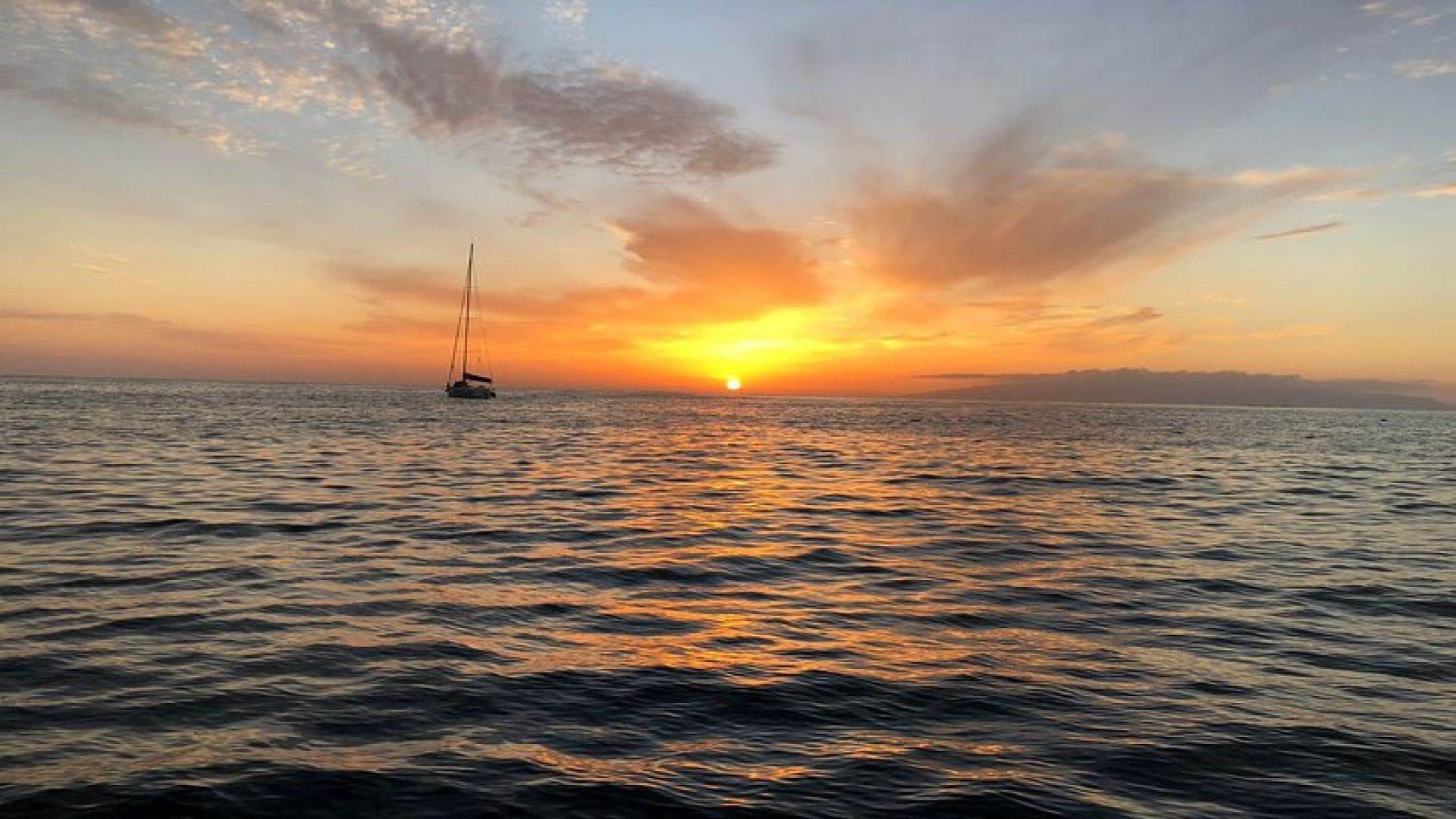 3-hour Whale and Dolphin Watching and Listening Tour 