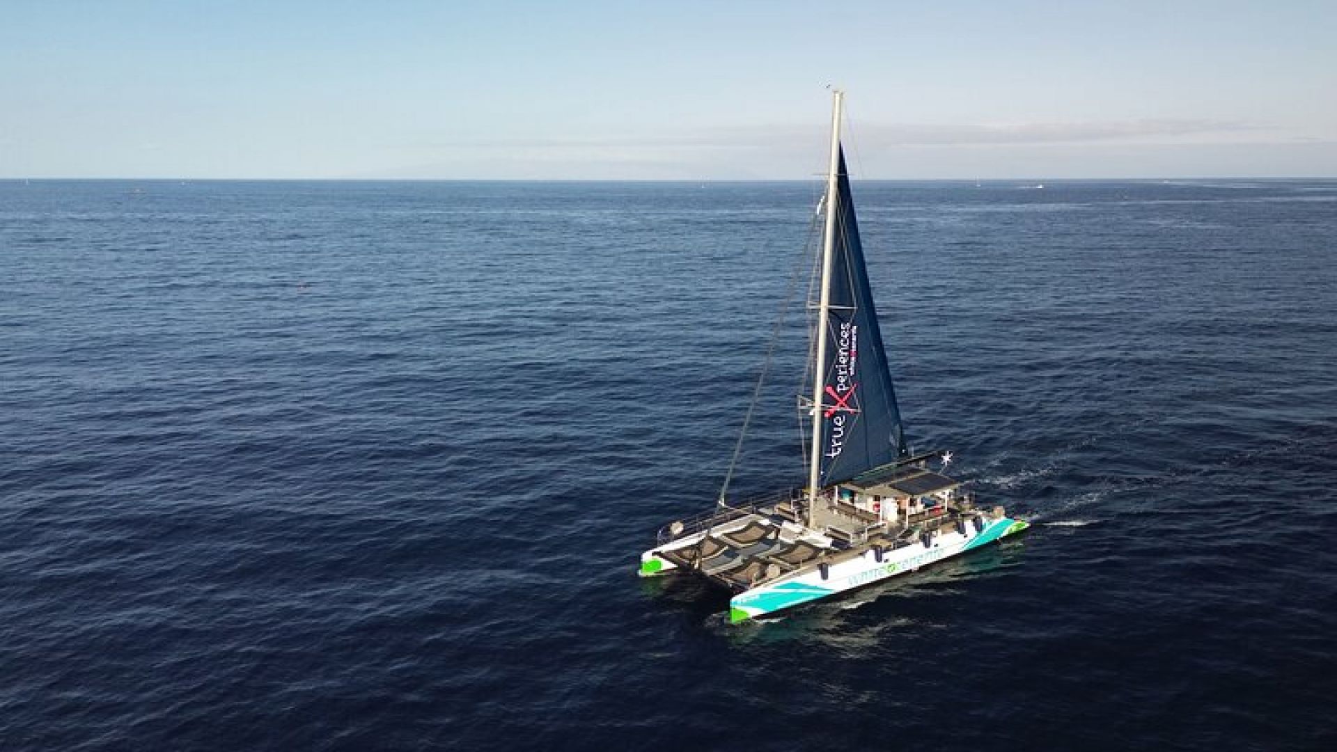 3-hour Whale and Dolphin Watching and Listening Tour 