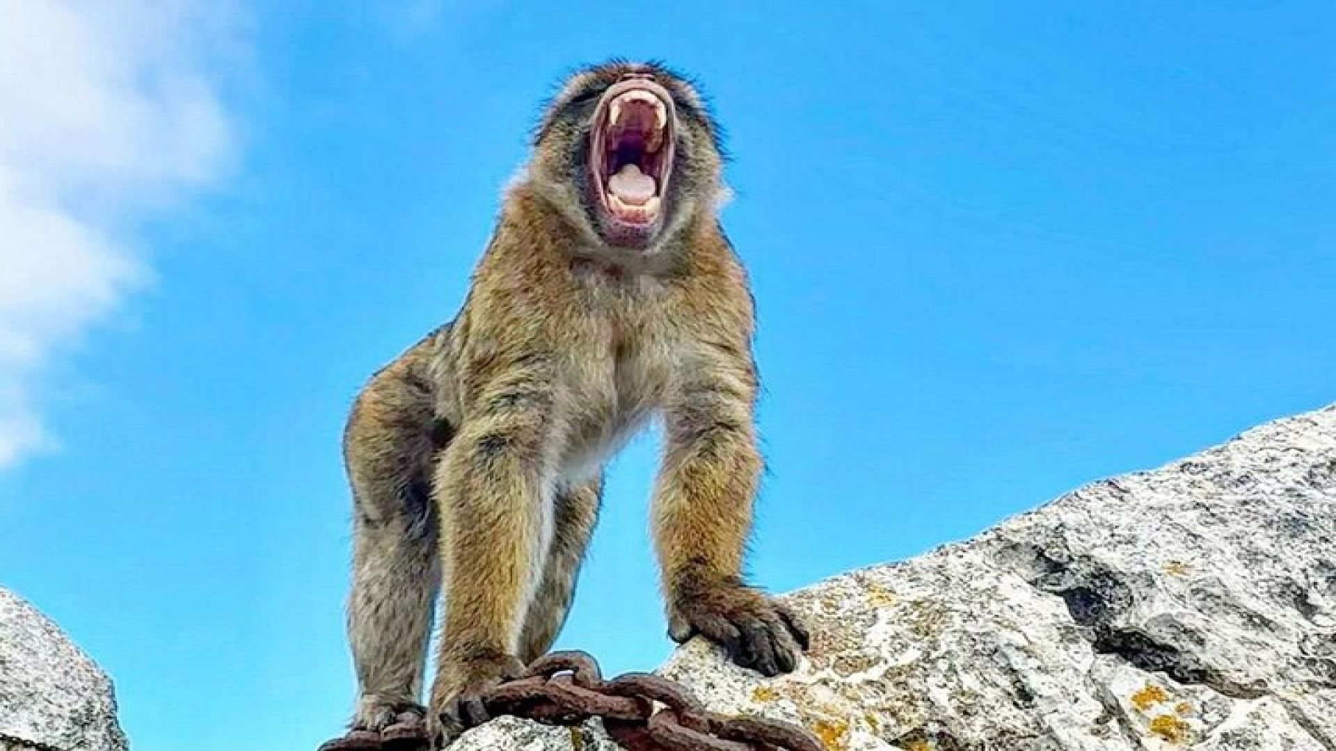 Gibraltar Private Daytrip From Malaga