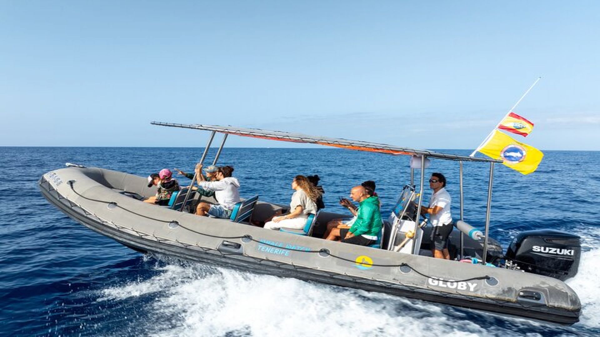 Whale Watching Eco-Adventure from Costa Adeje 