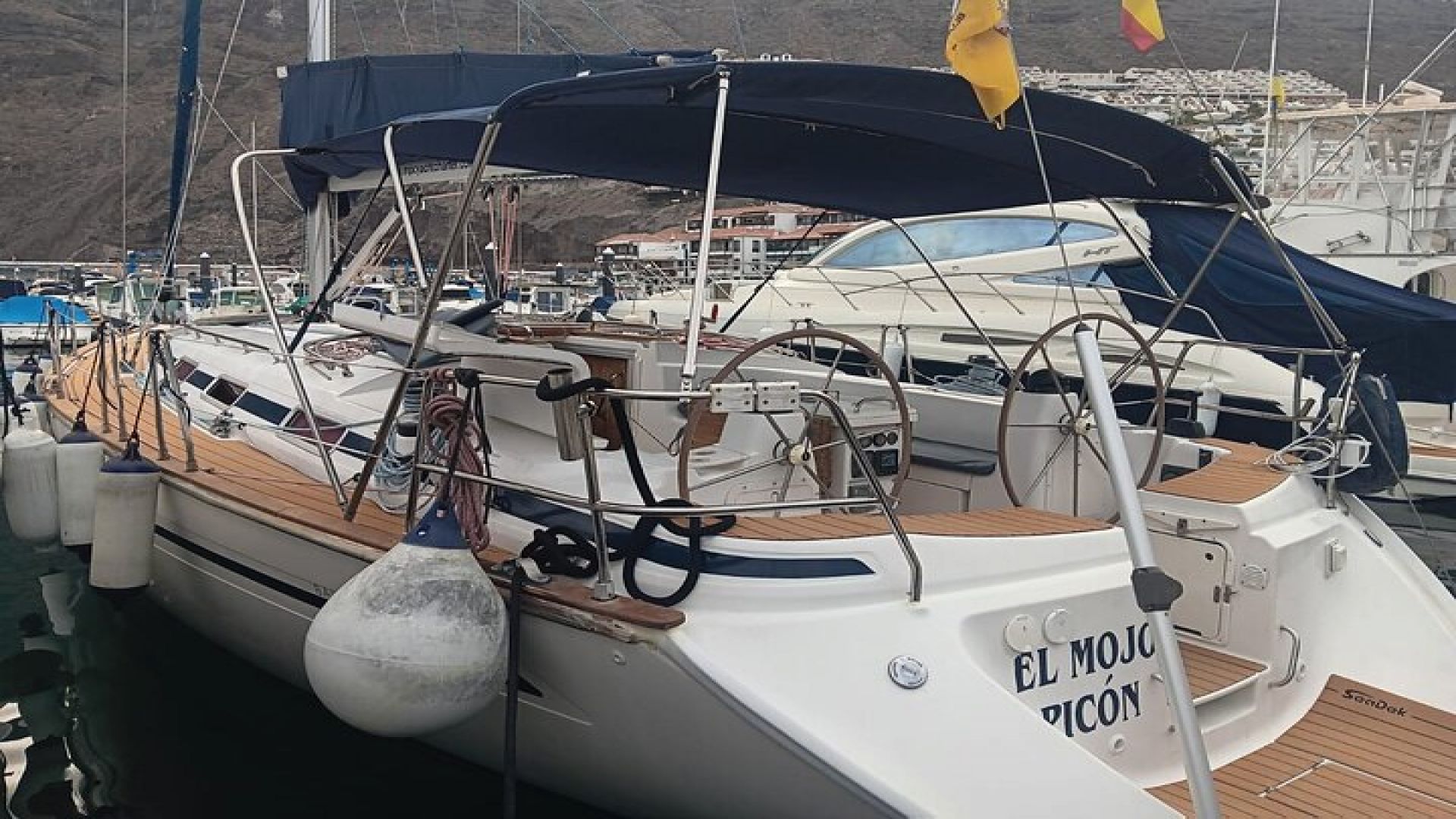 Dolphin and Whale Sailing Tour in Los Gigantes