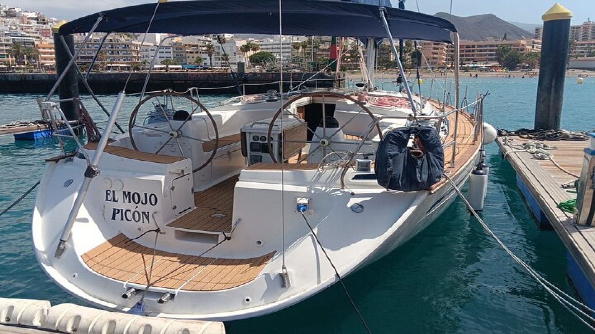 Dolphin and Whale Sailing Tour in Los Gigantes