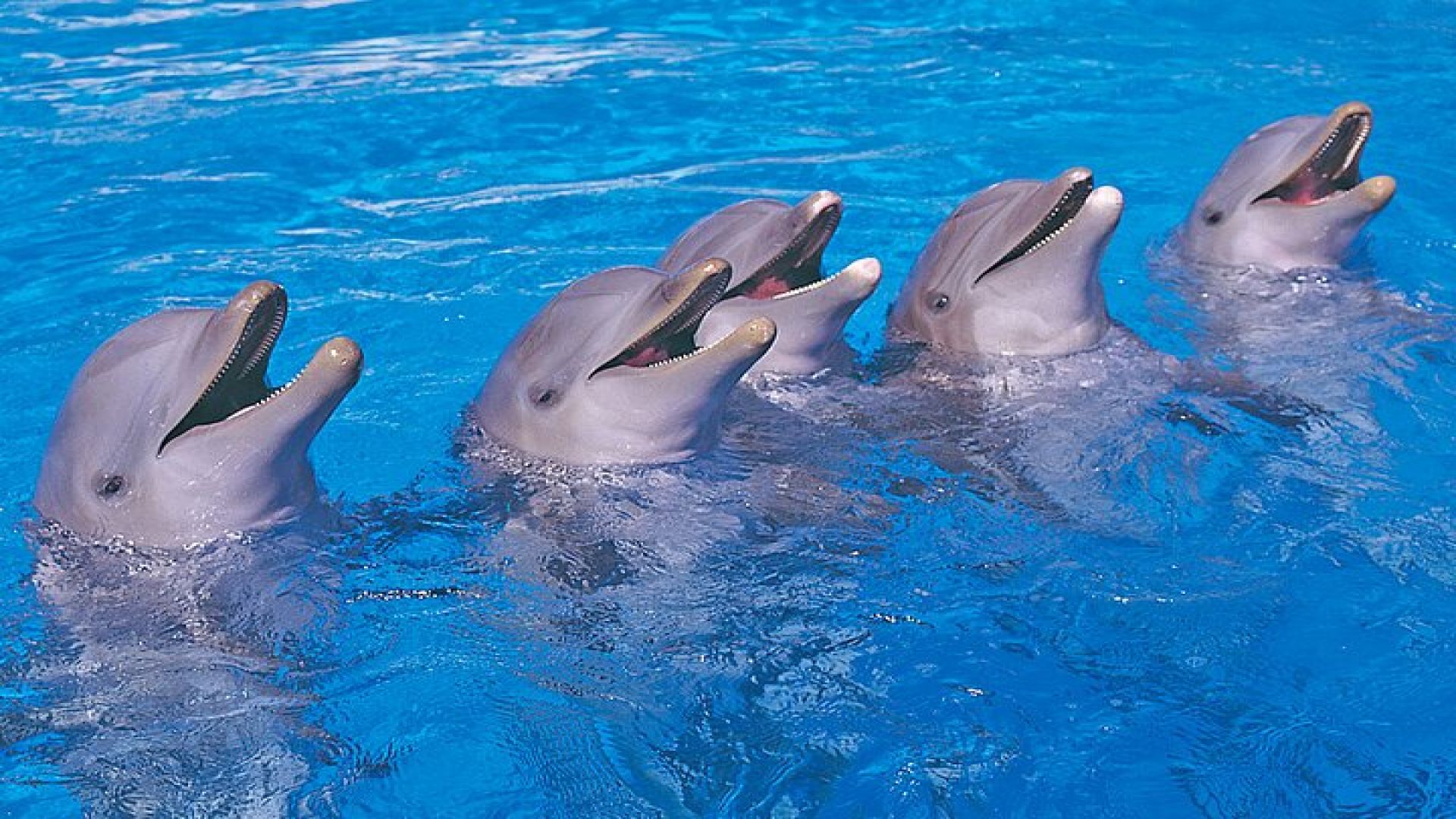 Ticket to Aqualand Tenerife