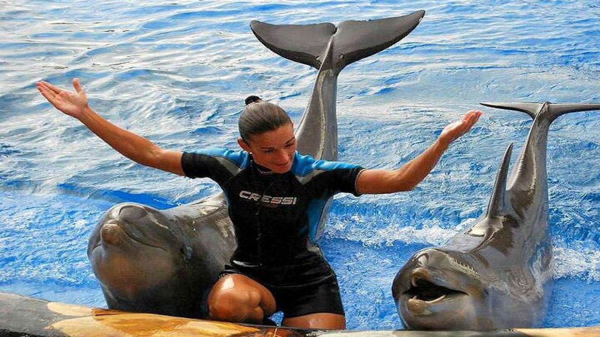 Ticket to Aqualand Tenerife