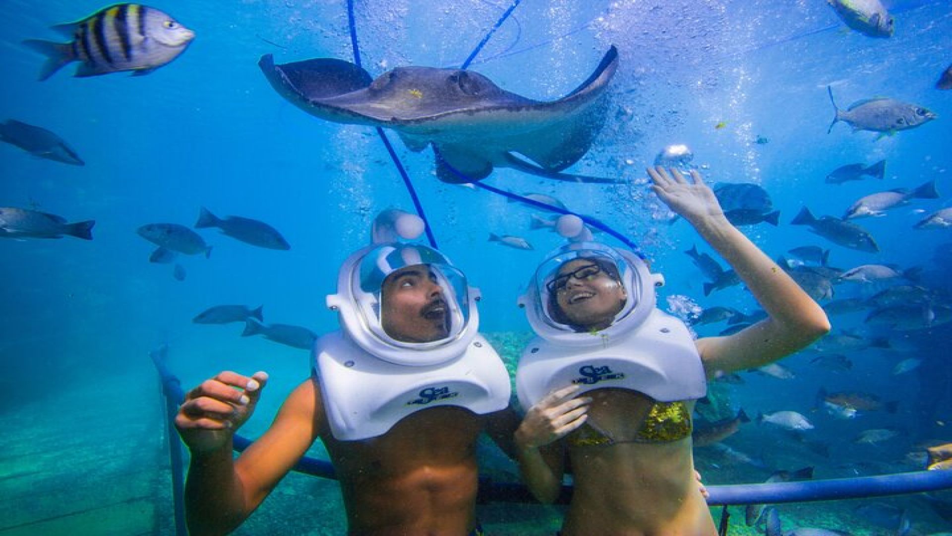 Sea Trek Underwater Walk in Tenerife – No Swimming Required