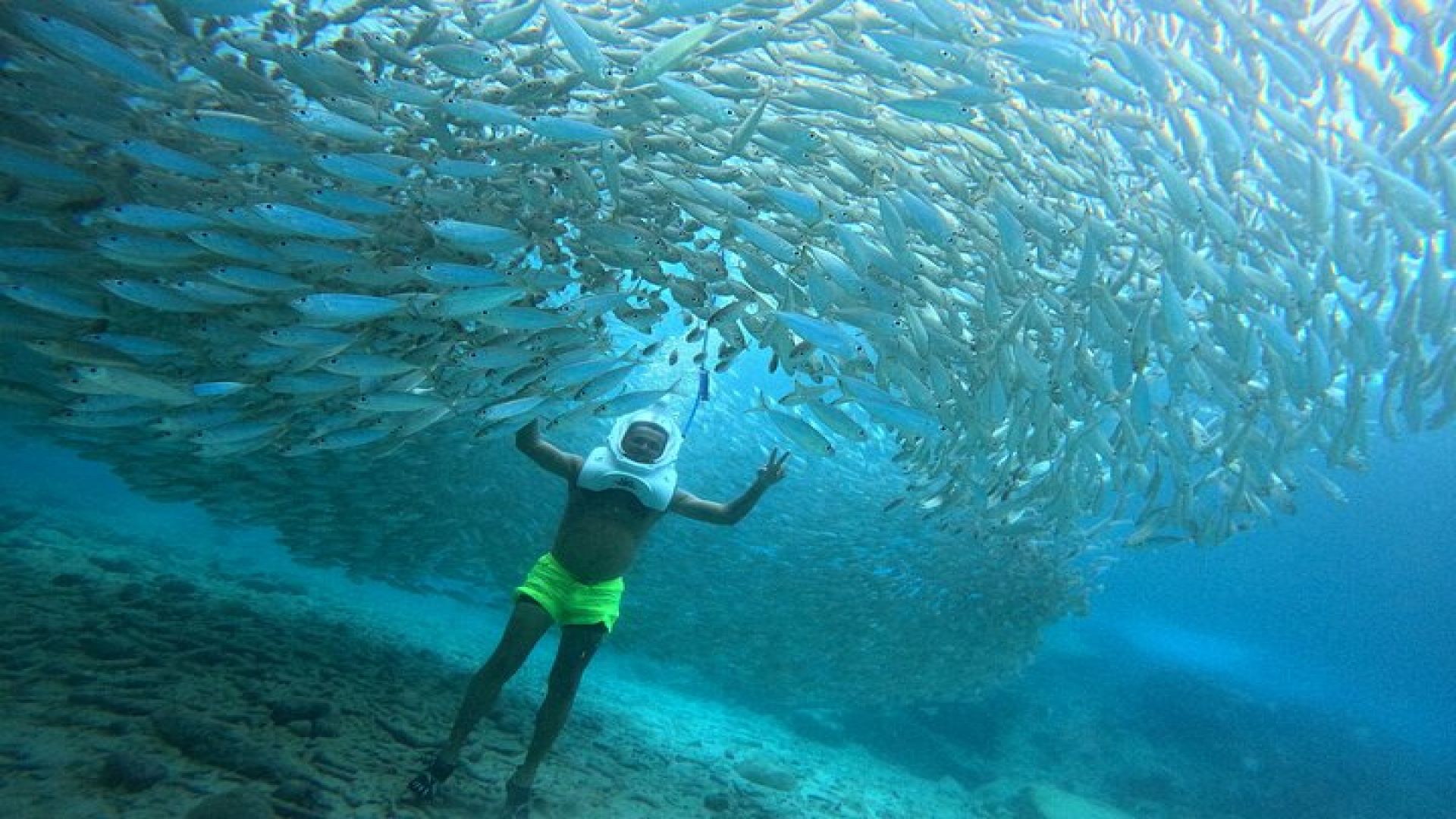 Sea Trek Underwater Walk in Tenerife – No Swimming Required