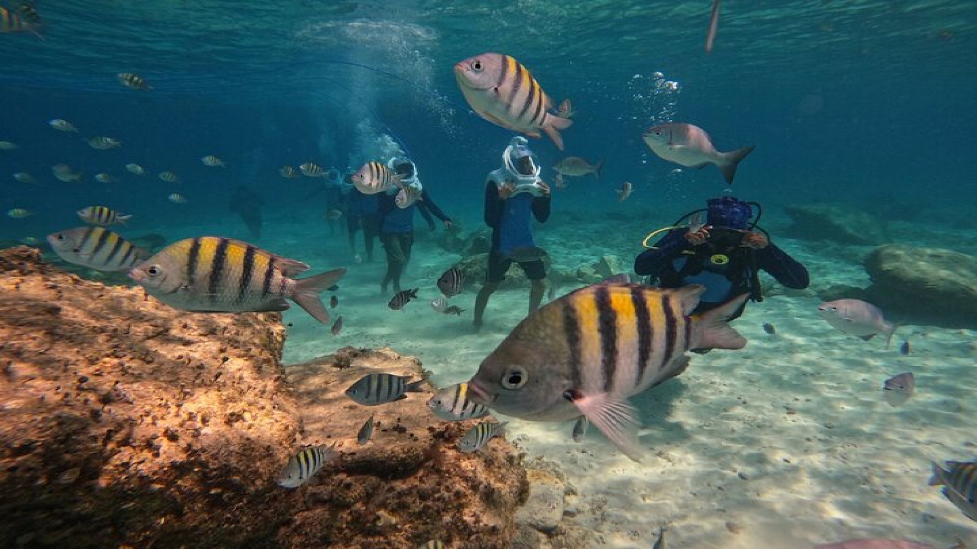 Sea Trek Underwater Walk in Tenerife – No Swimming Required