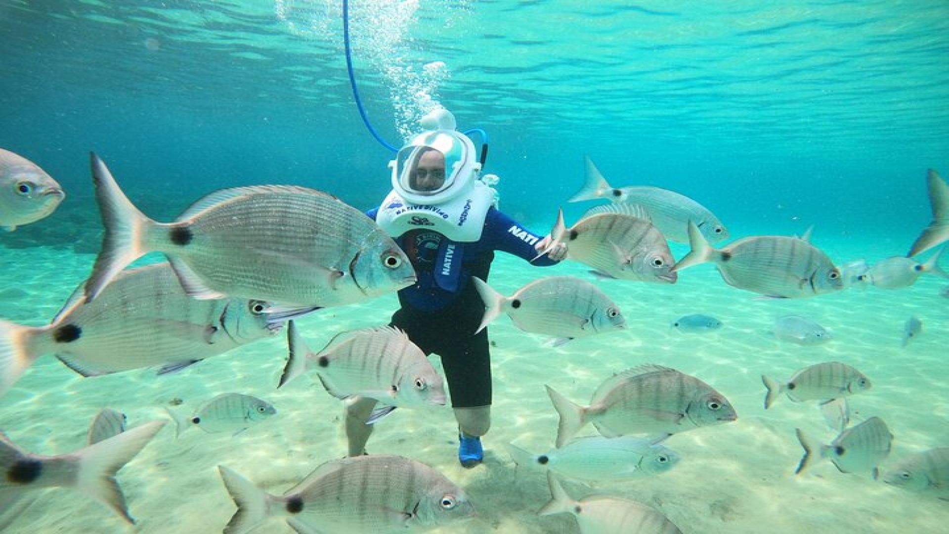 Sea Trek Underwater Walk in Tenerife – No Swimming Required