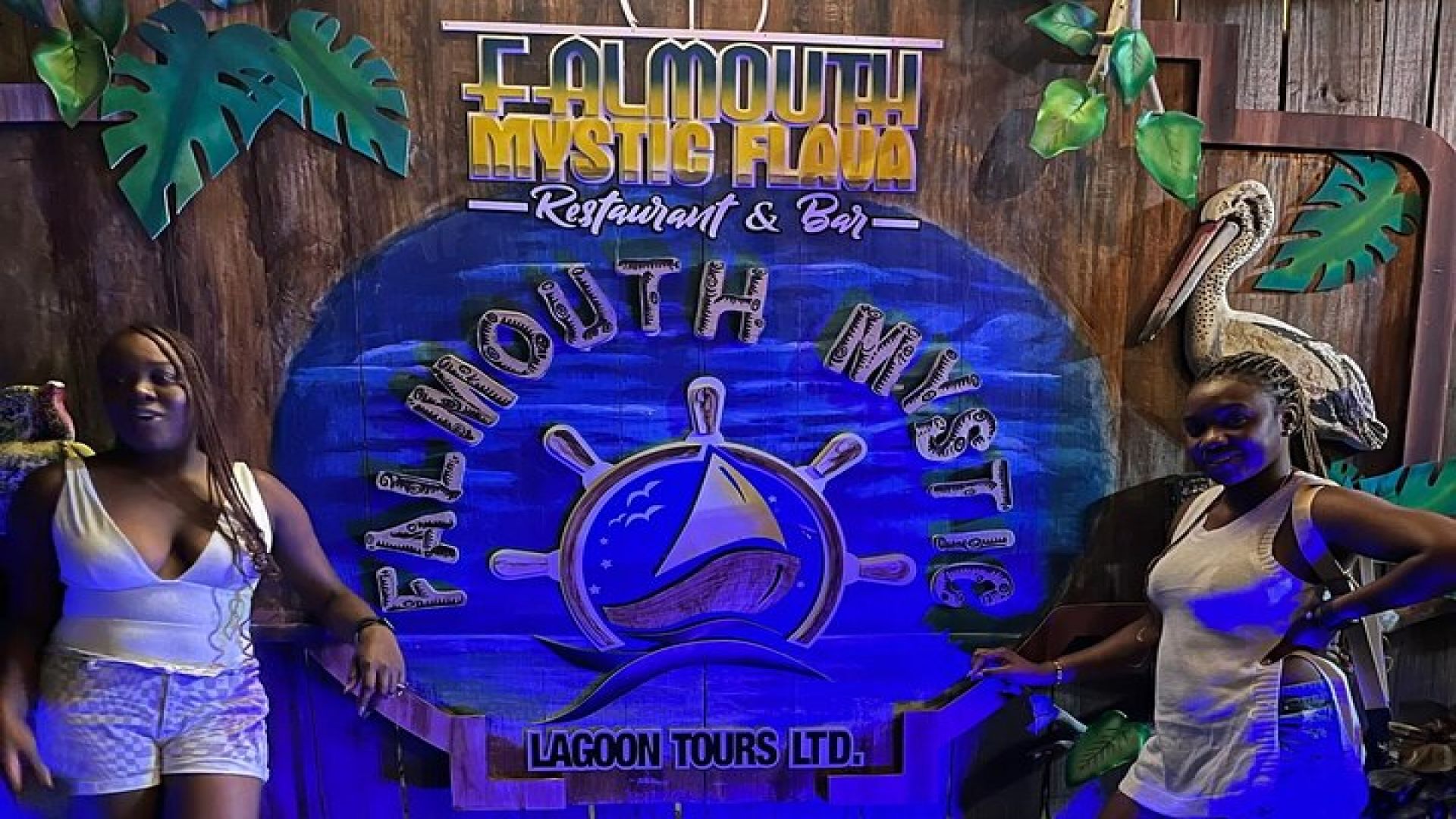Luminous Lagoon Night Tour from Montego Bay