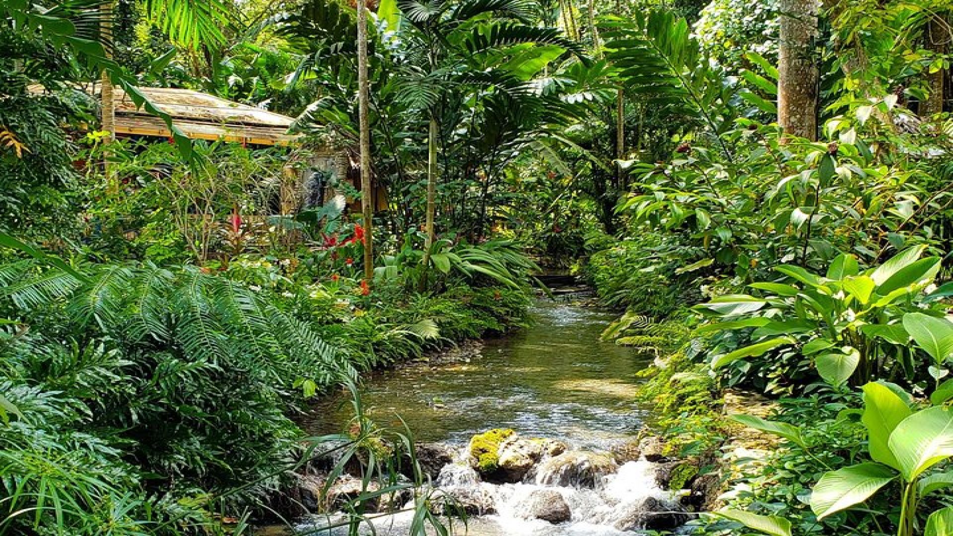 Bamboo rafting and Horseback ridding