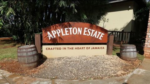 Appleton estate tour