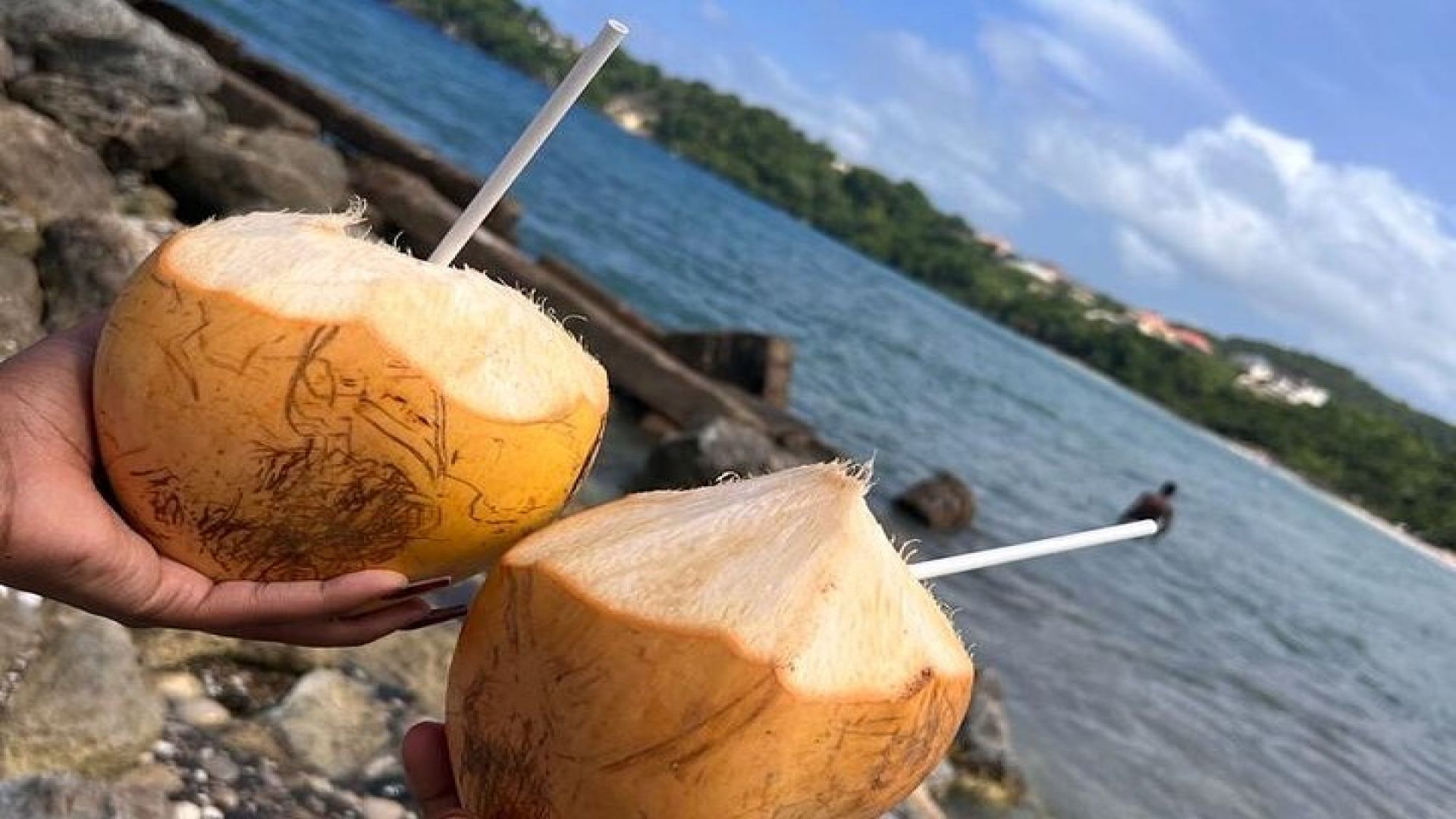 Ocho Rios Sightseeing Tours and Shopping