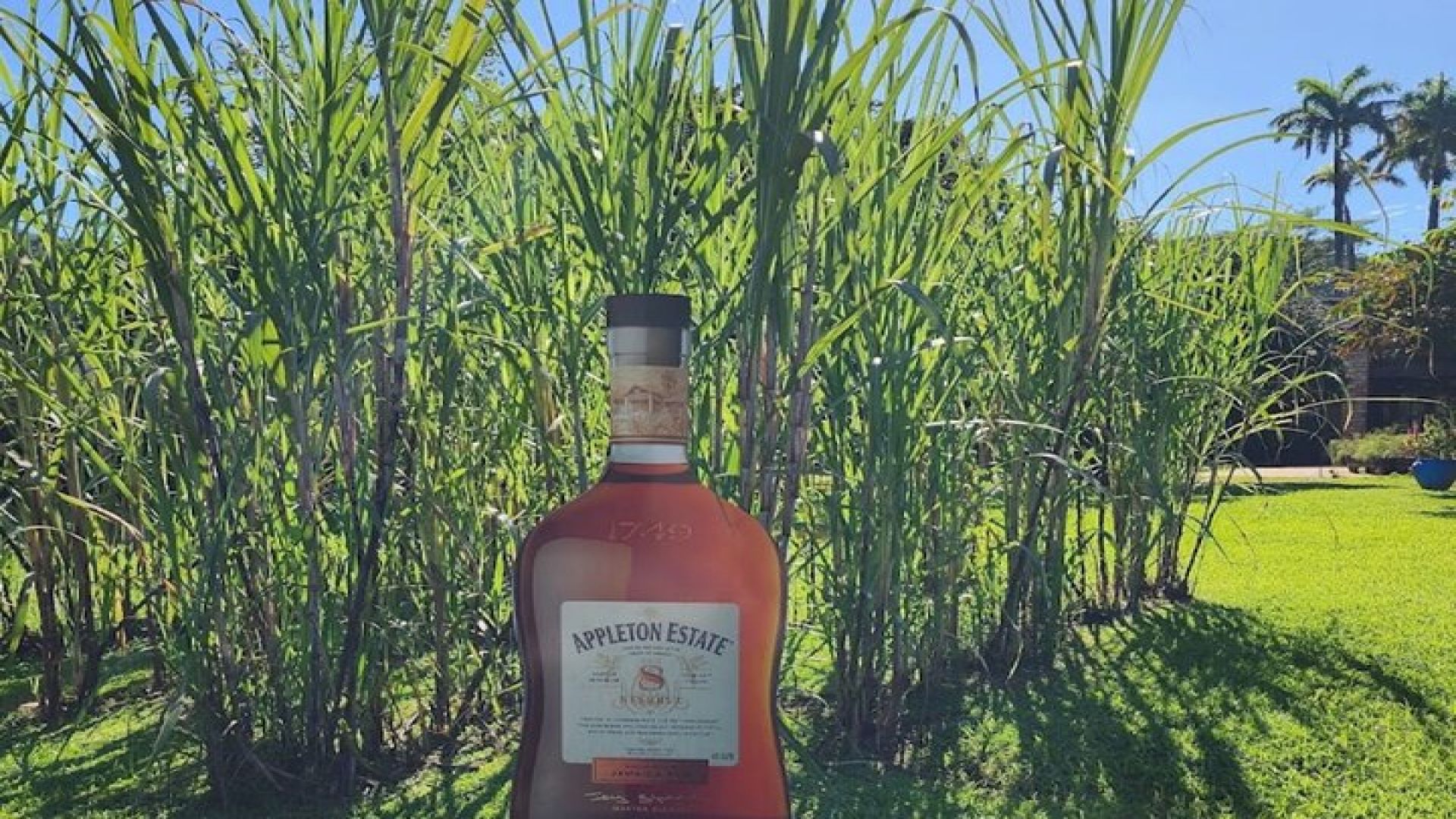 Appleton estate tour