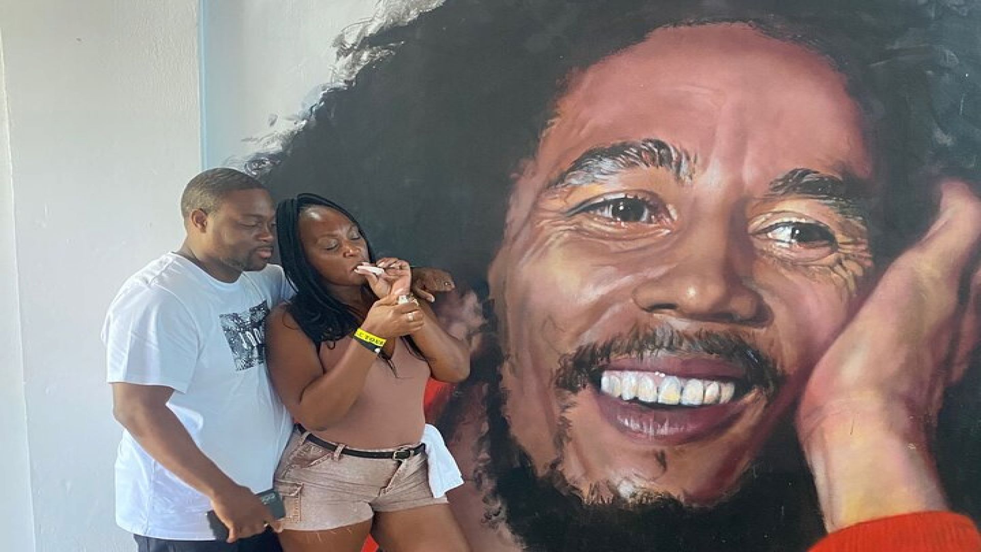 Bob Marley House and Dunns River Falls Private Tour