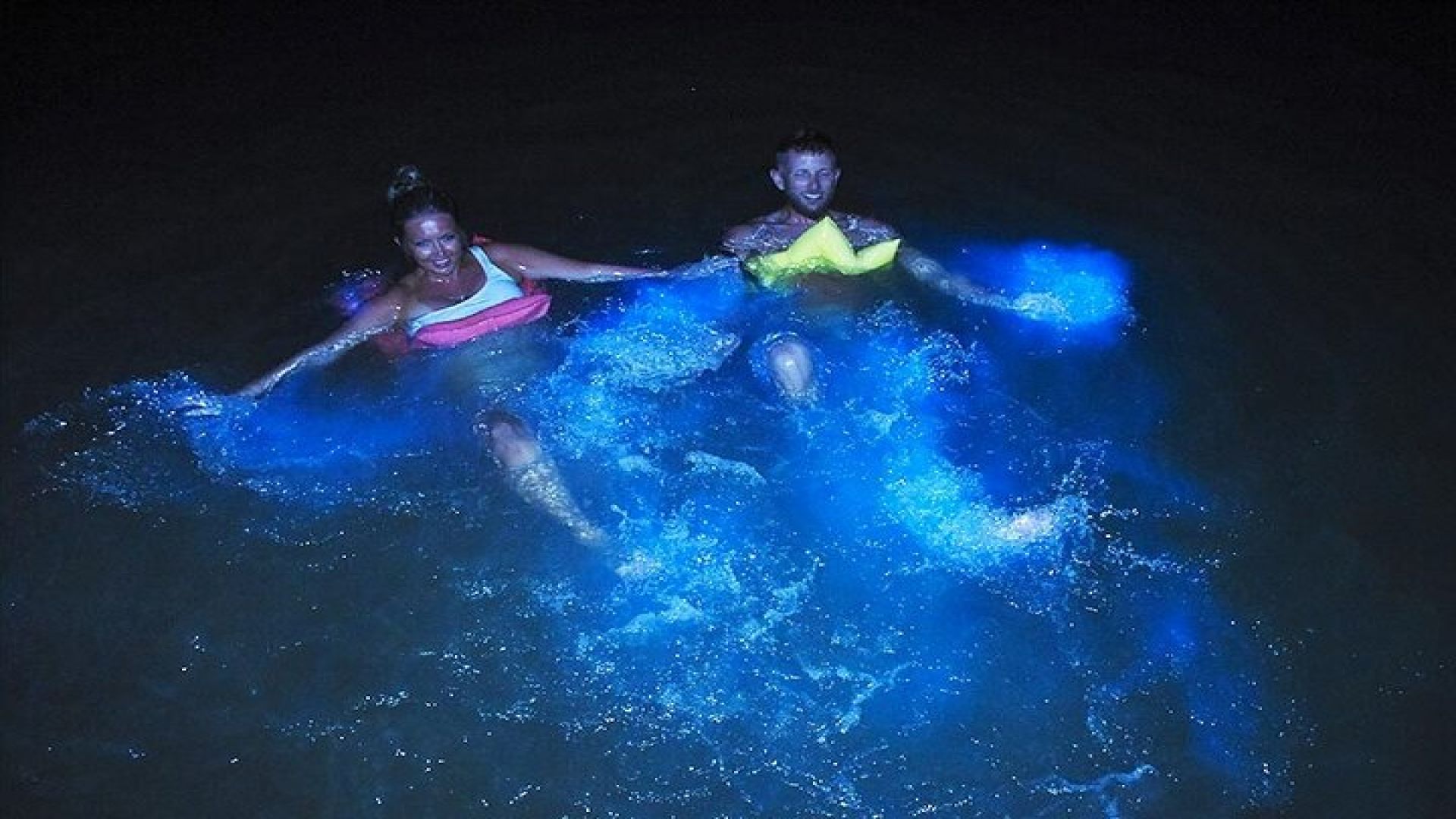 Glistening Waters Luminous Lagoon Boat Tour Falmouth