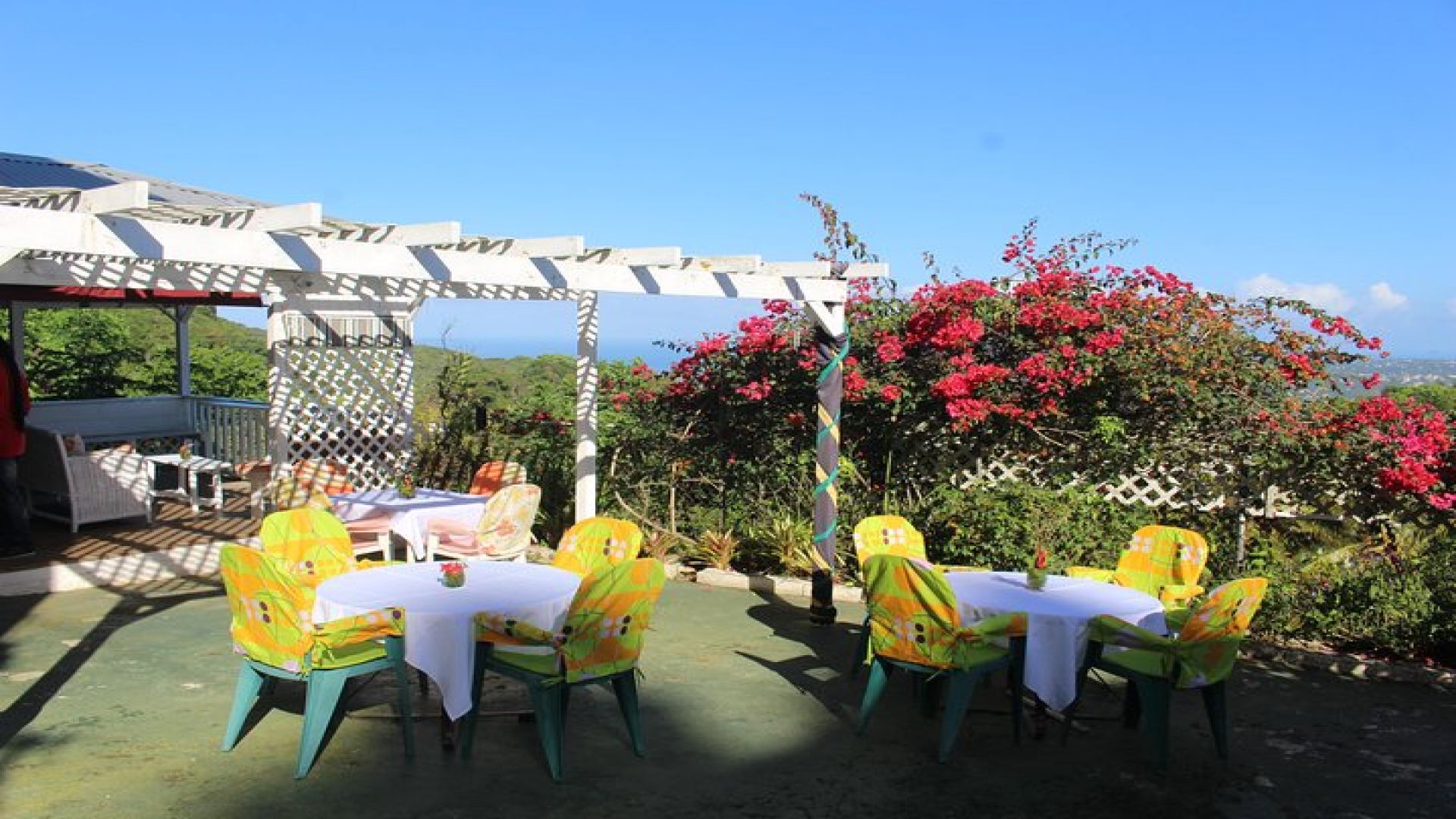 Skip the Line: Ahhh Ras Natango Gallery and Garden Admission Tickets