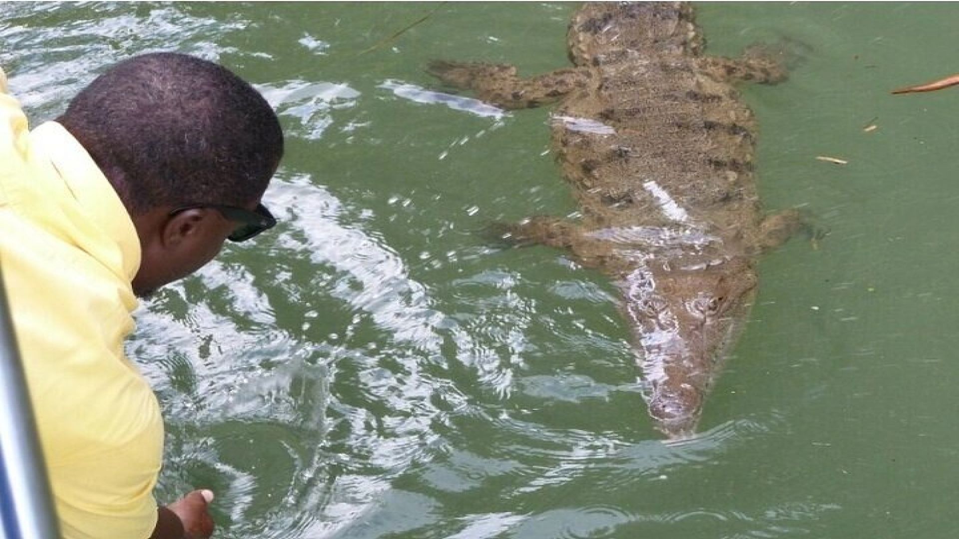 Full-Day South Coast - YS Falls, Pelican Bar & Black River Safari