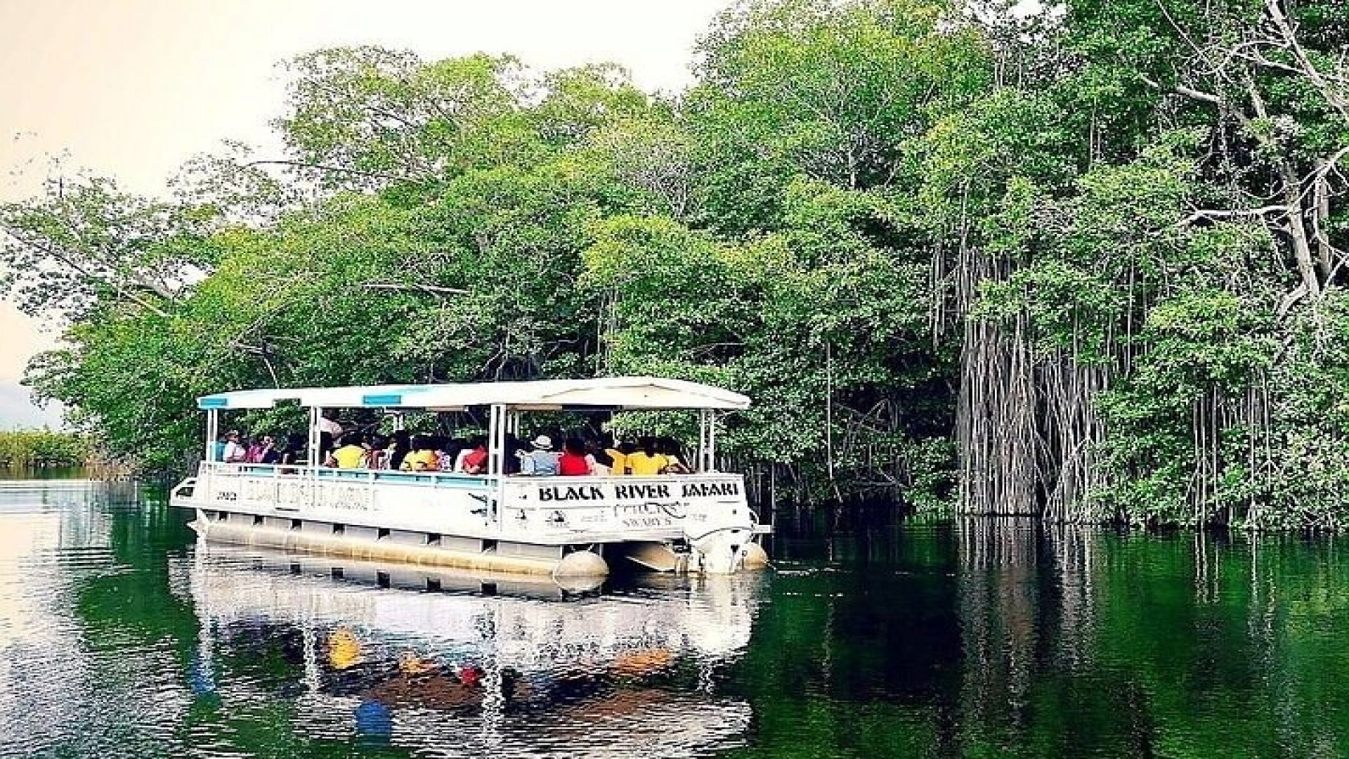 Full-Day South Coast - YS Falls, Pelican Bar & Black River Safari