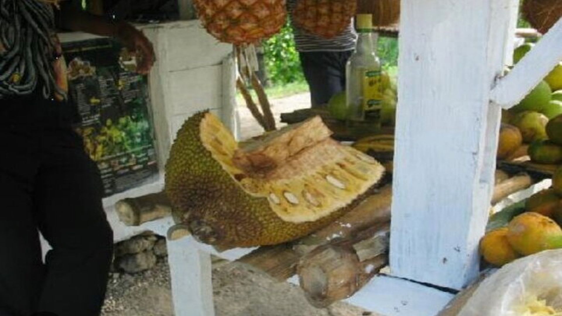 Cultural Food Tour & Seven Mile Beach At Negril’s Margaritaville