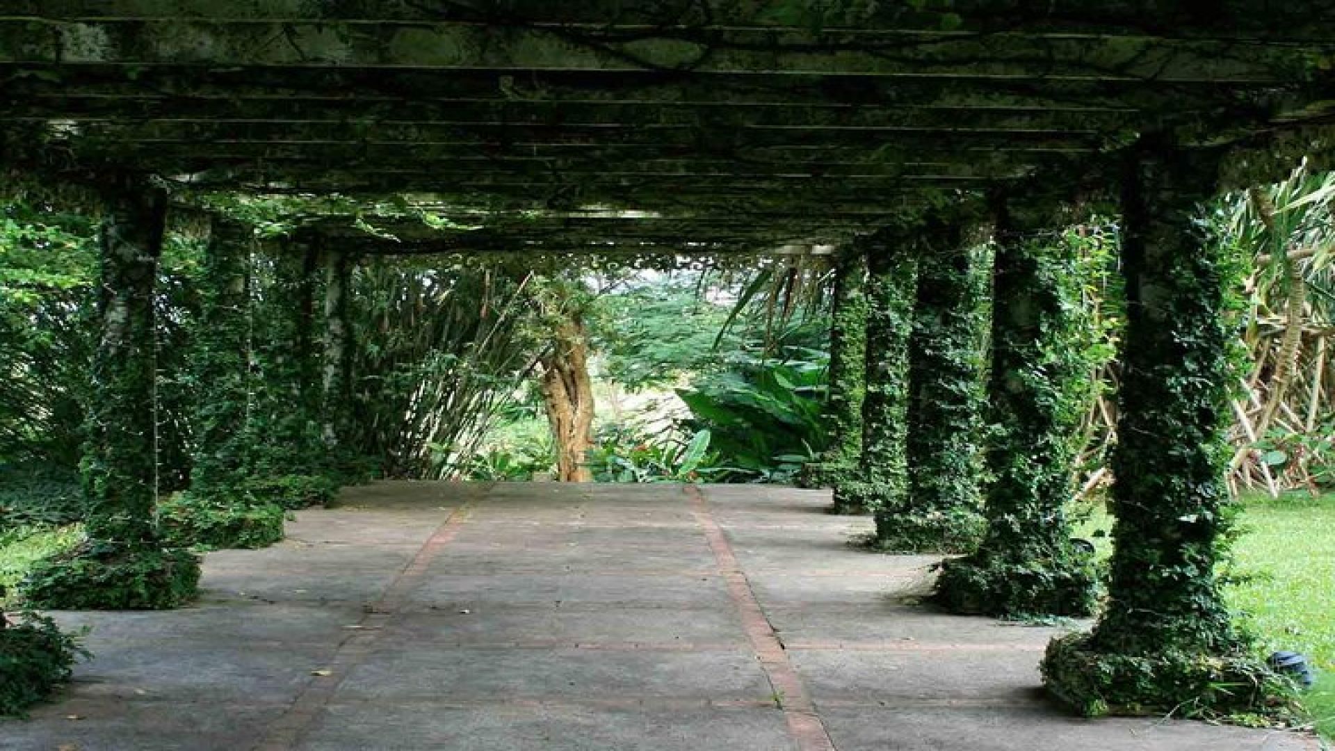 Know the Place: Montego Bay Historical Highlight and Bellefield Great House