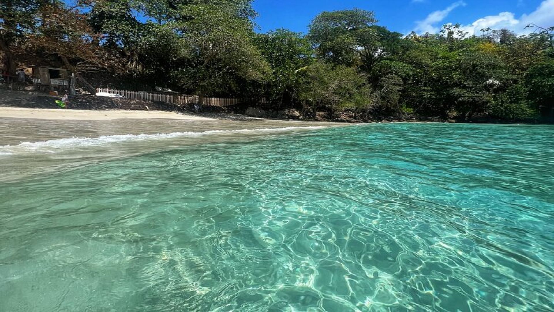 Portland Jamaica Private Day Tour