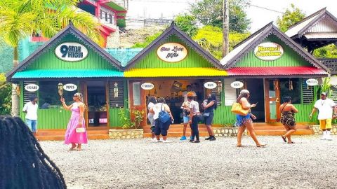 Private Tour Bob Marley Nine Mile From Negril