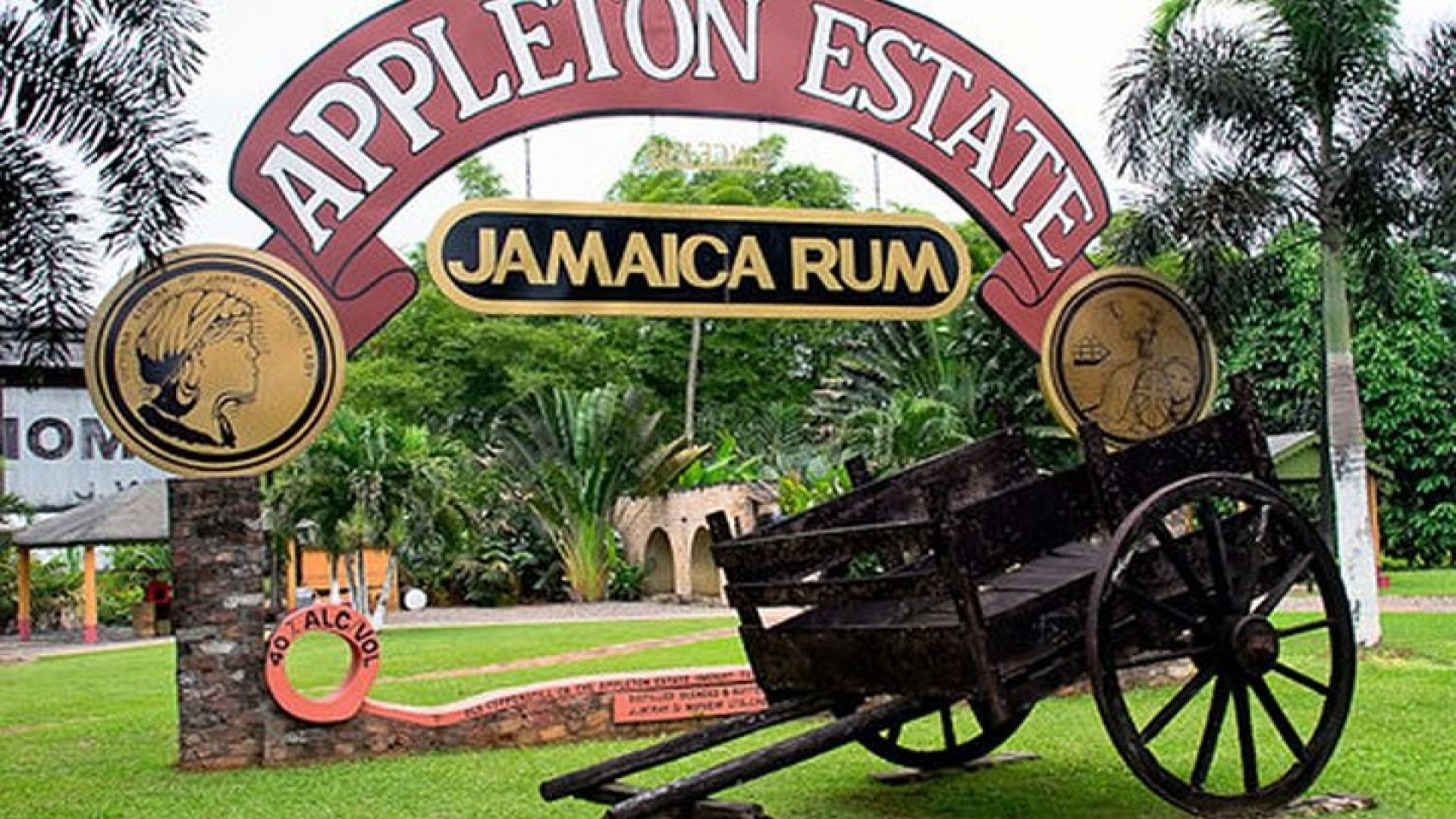 Private Black River and Appleton Rum Tour From Negril