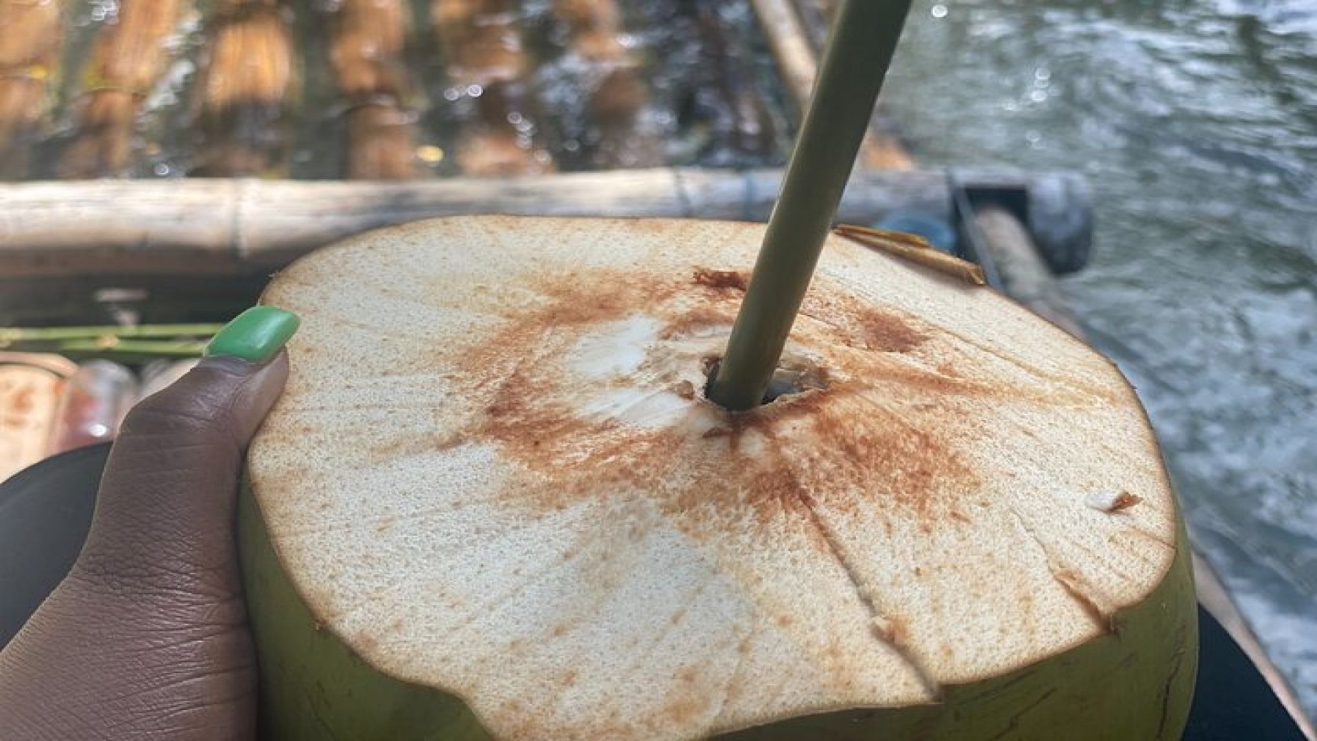 Great River Bamboo Rafting at Lethe from Montego Bay 