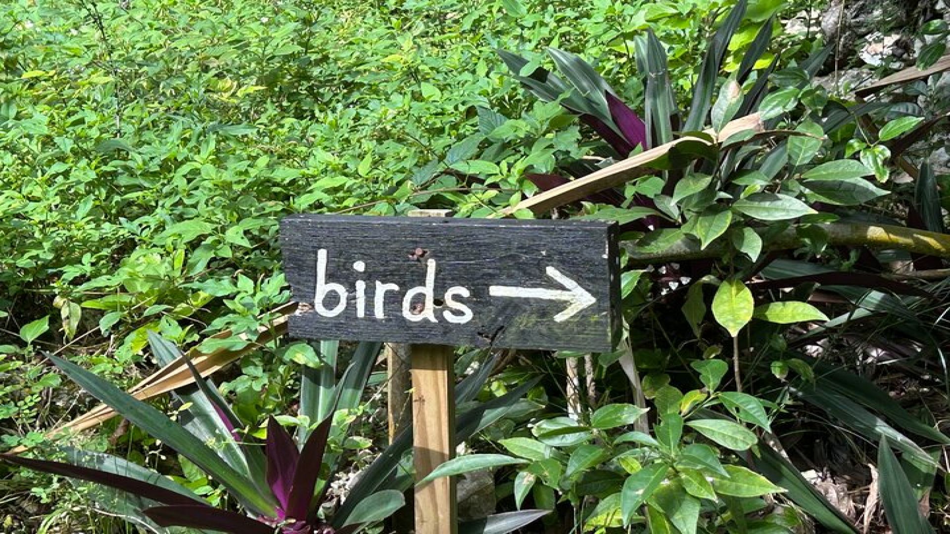 Rocklands Bird Sanctuary & St James Parish Church