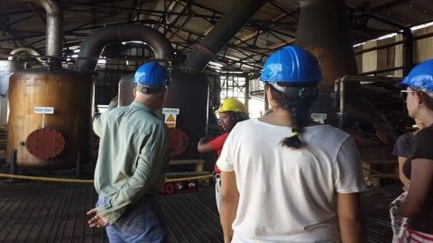 Hampden Estate Rum Tour and Lunch from Falmouth