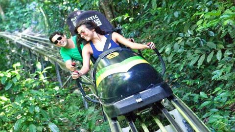 Jamaica Bobsled Adventure Tour from Port Antonio
