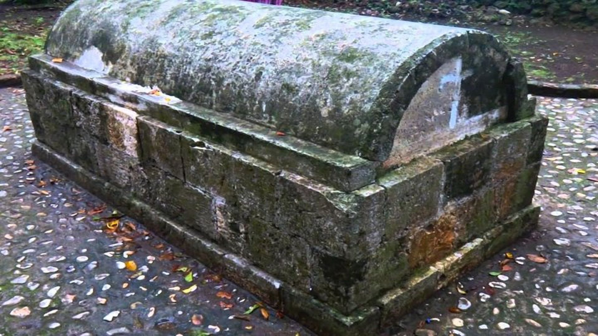 Luminous Lagoon and Rose Hall Haunted Night Tour from Ocho Rios