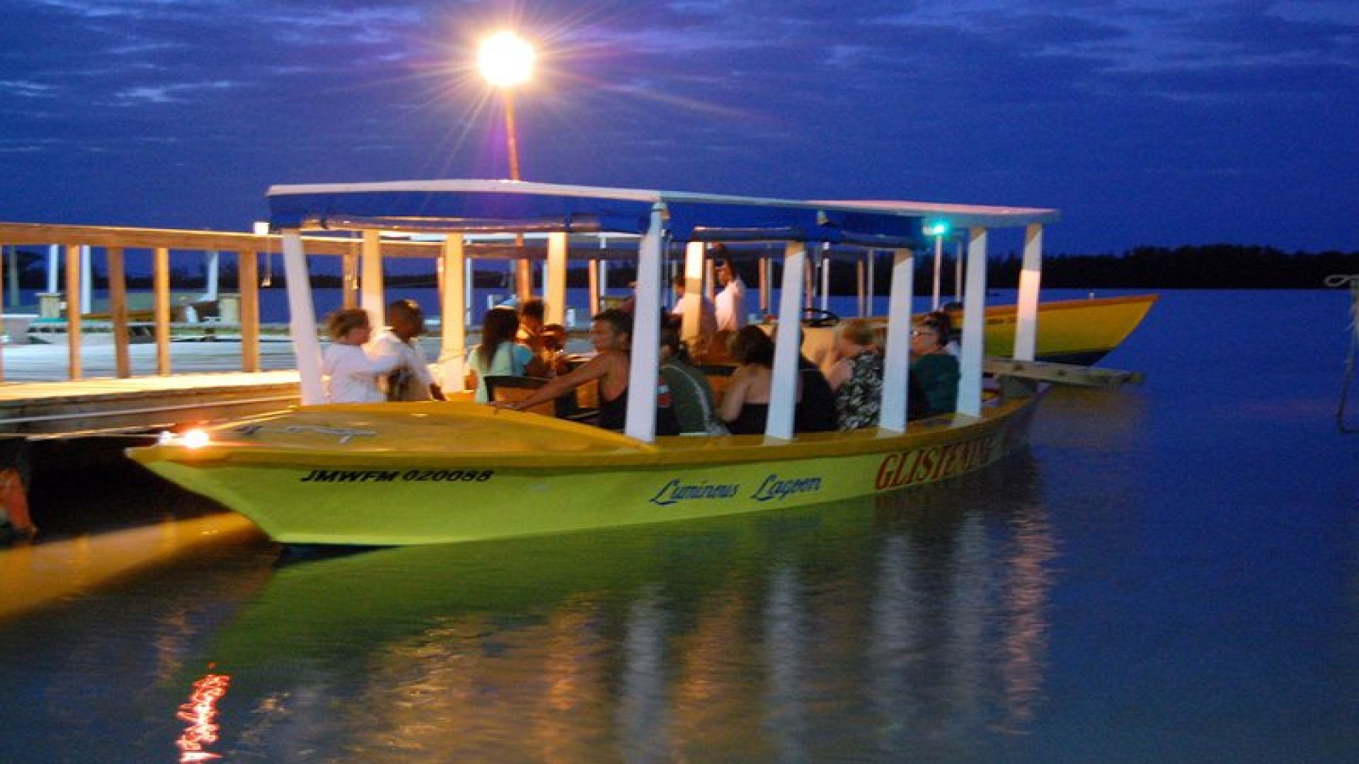 Luminous Lagoon and Rose Hall Haunted Night Tour from Ocho Rios