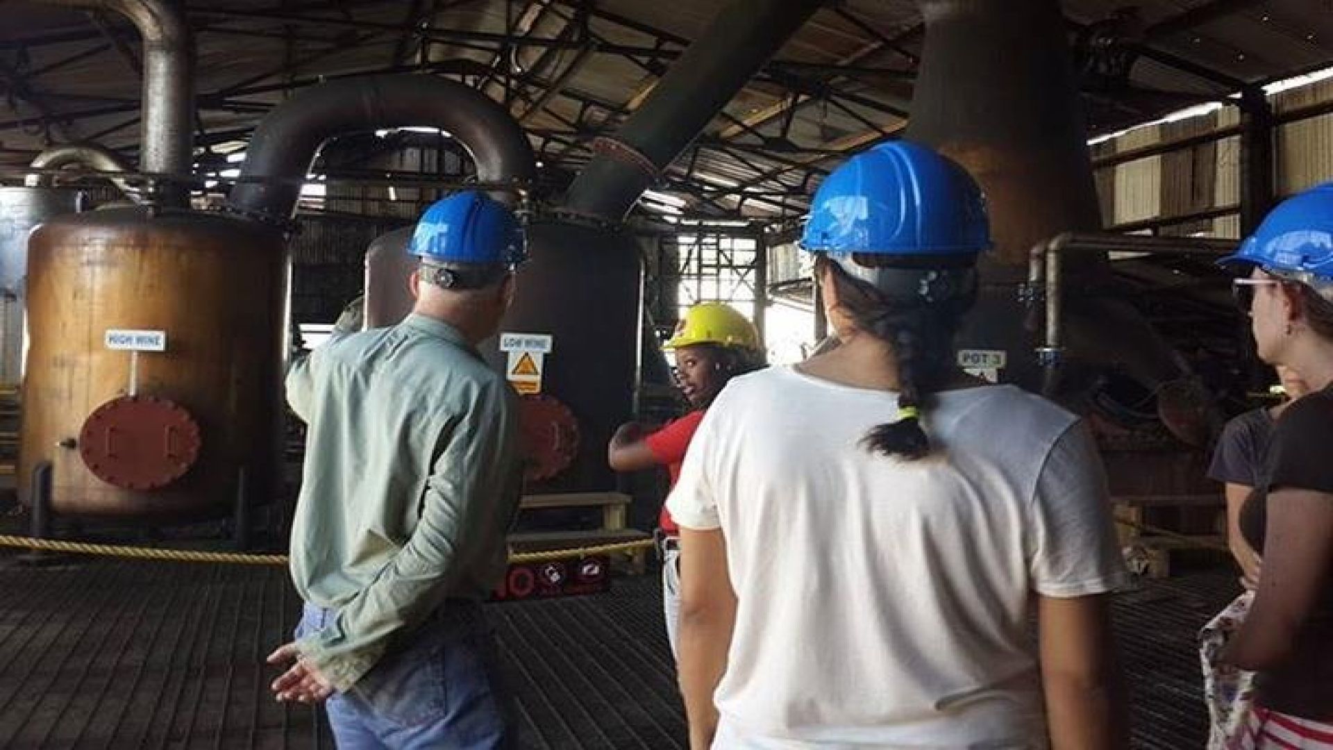 Hampden Estate Rum Tour and Lunch from Falmouth