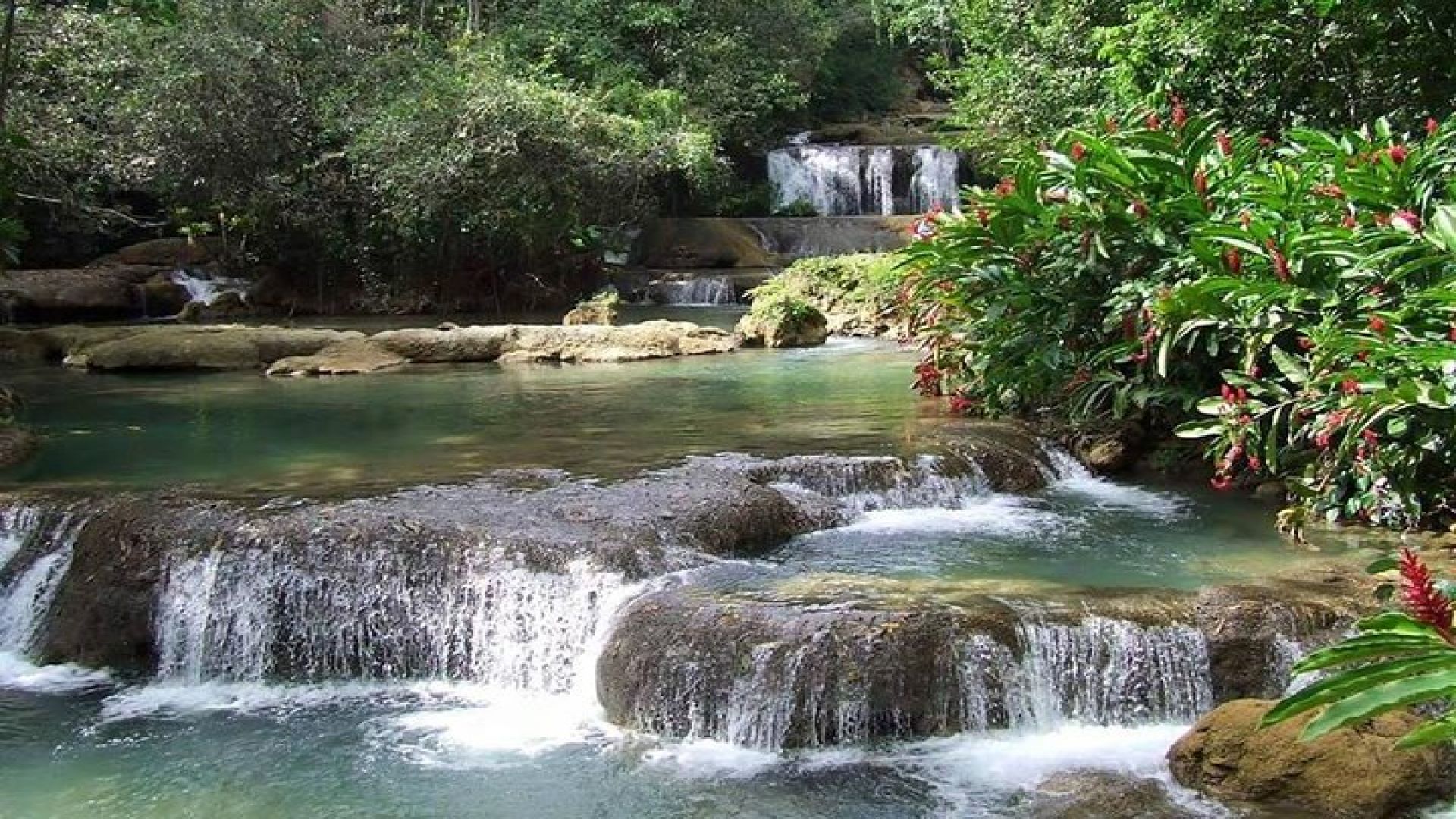 YS Falls and The Pelican Bar Adventure Tour from Negril