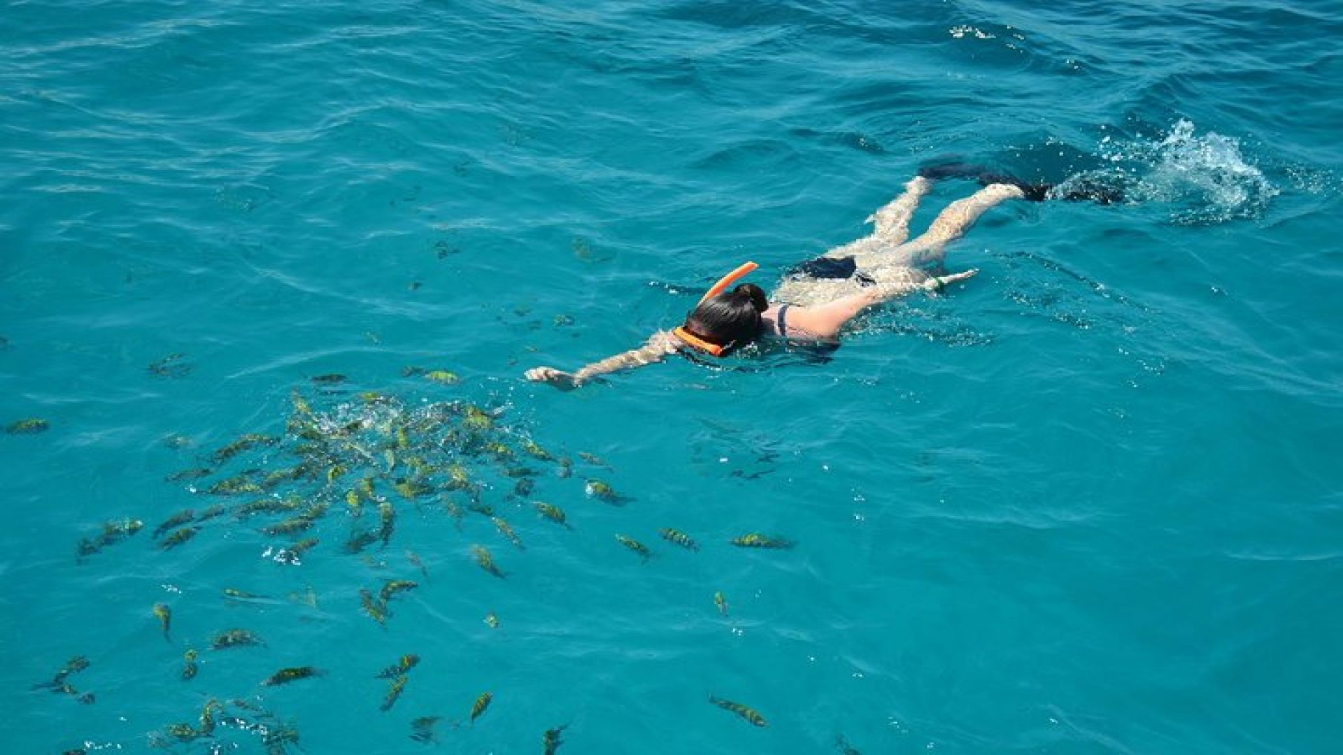 Montego Bay Catamaran Cruise and Snorkeling Tour from Falmouth