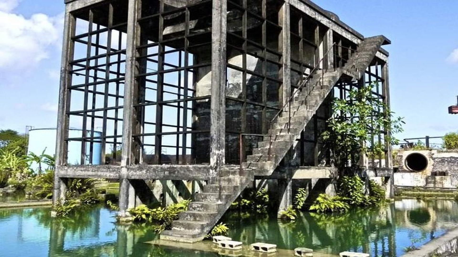 Hampden Estate Rum Tour and Lunch from Montego Bay